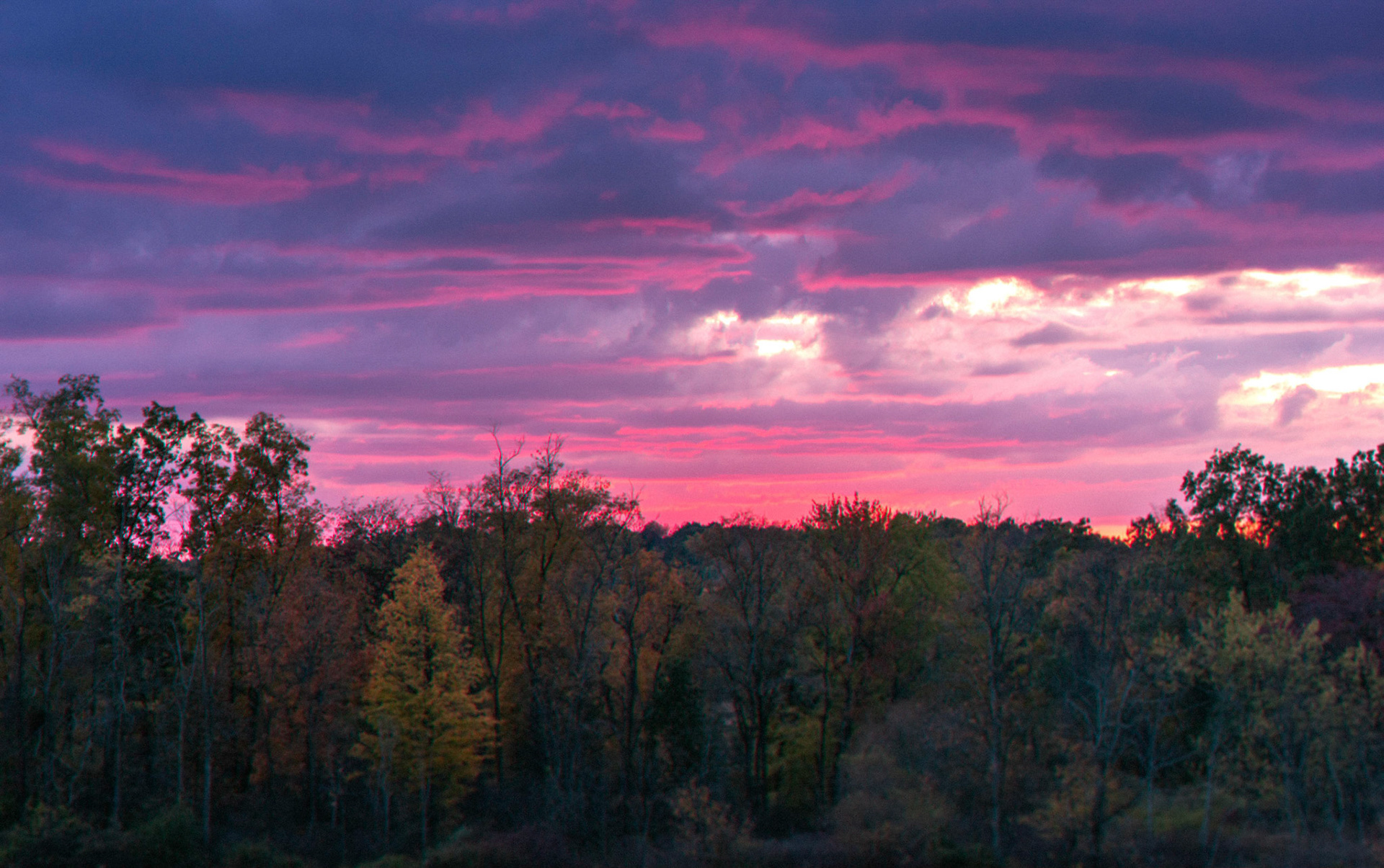 "From A Few Falls Ago" -  10/25/17 - Green, OH