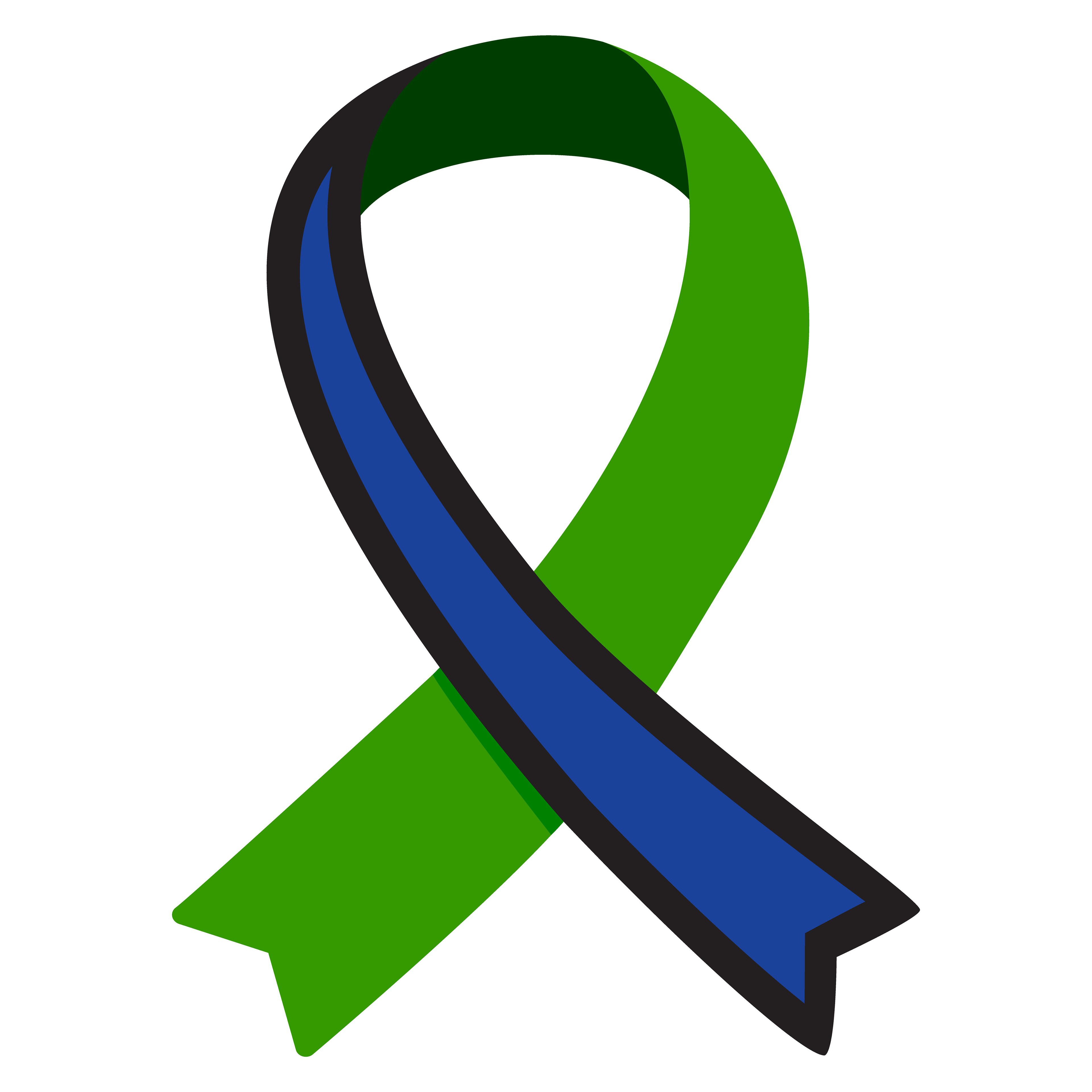 CC360 Icon