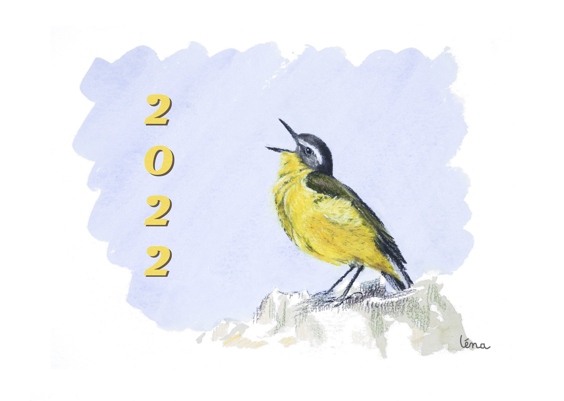 May you sing in 2022 with as much joy and energy as this Wagtail! Best wishes for teh new year!