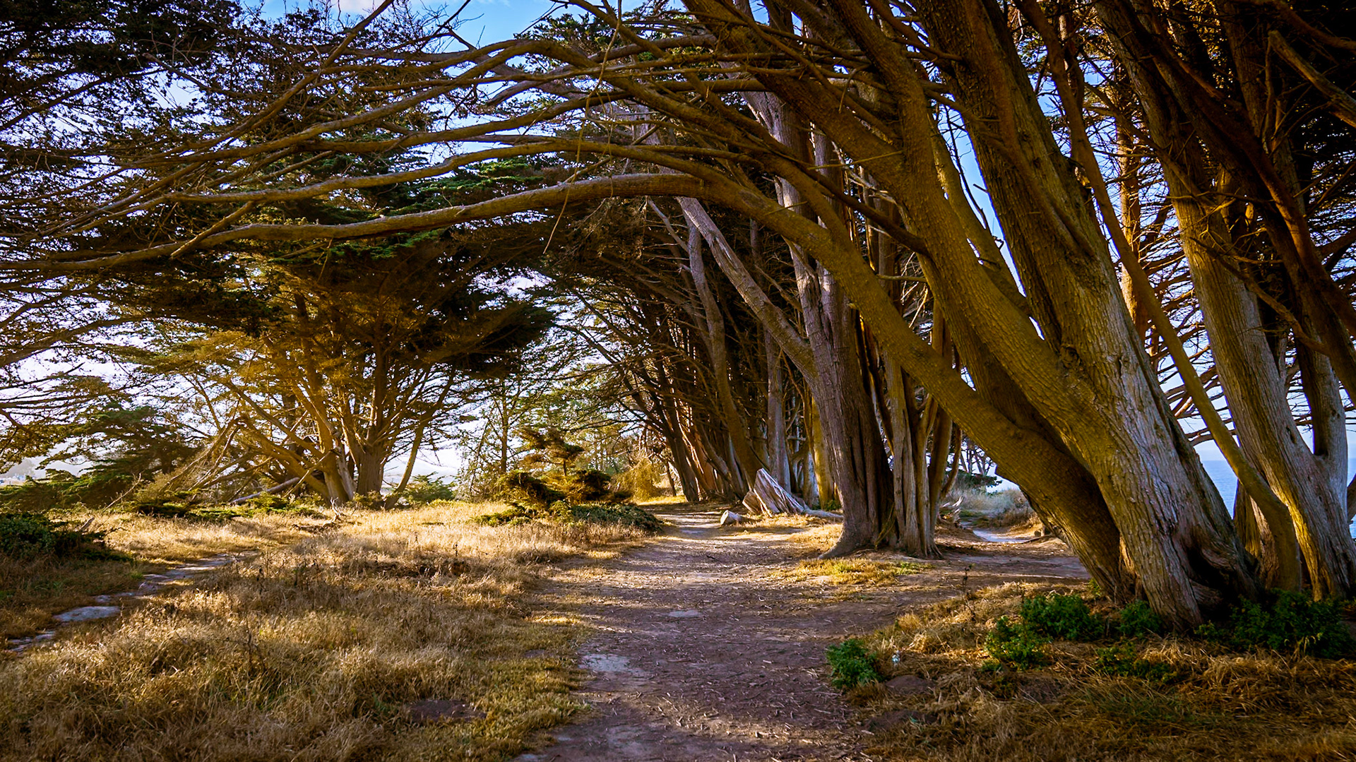 The trail along the cliff to get to the beaches