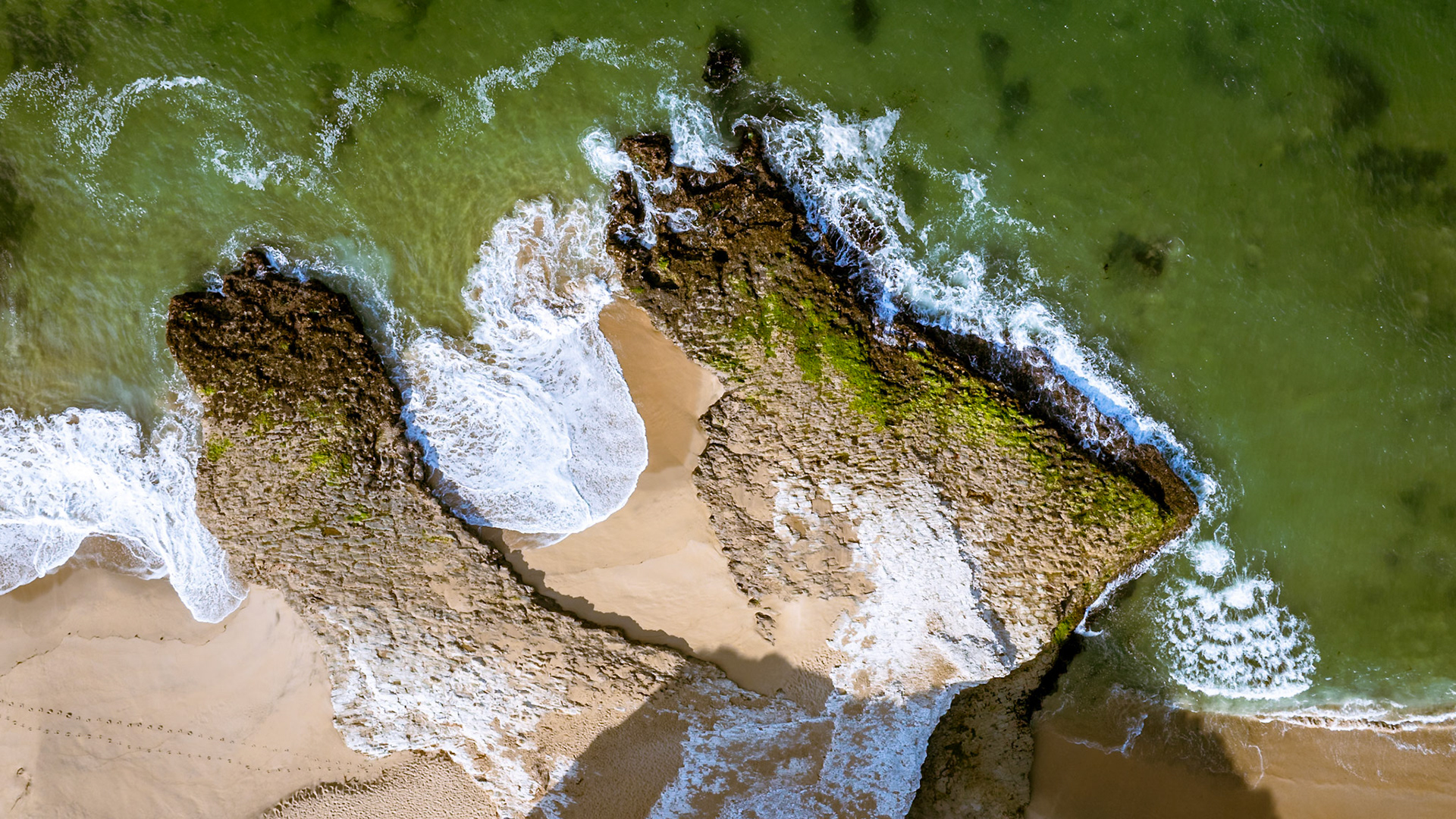 Overhead view of a tide pool rock