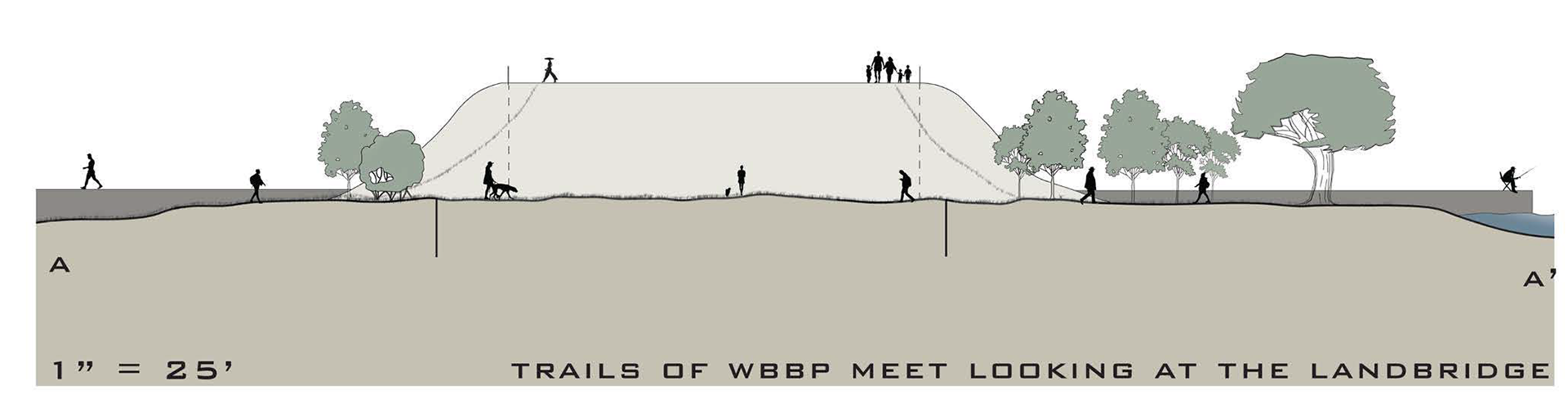 Section Viewing Landbridge from Park