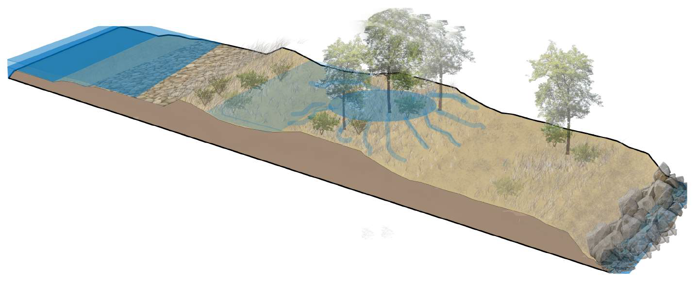 Flooding Diagram