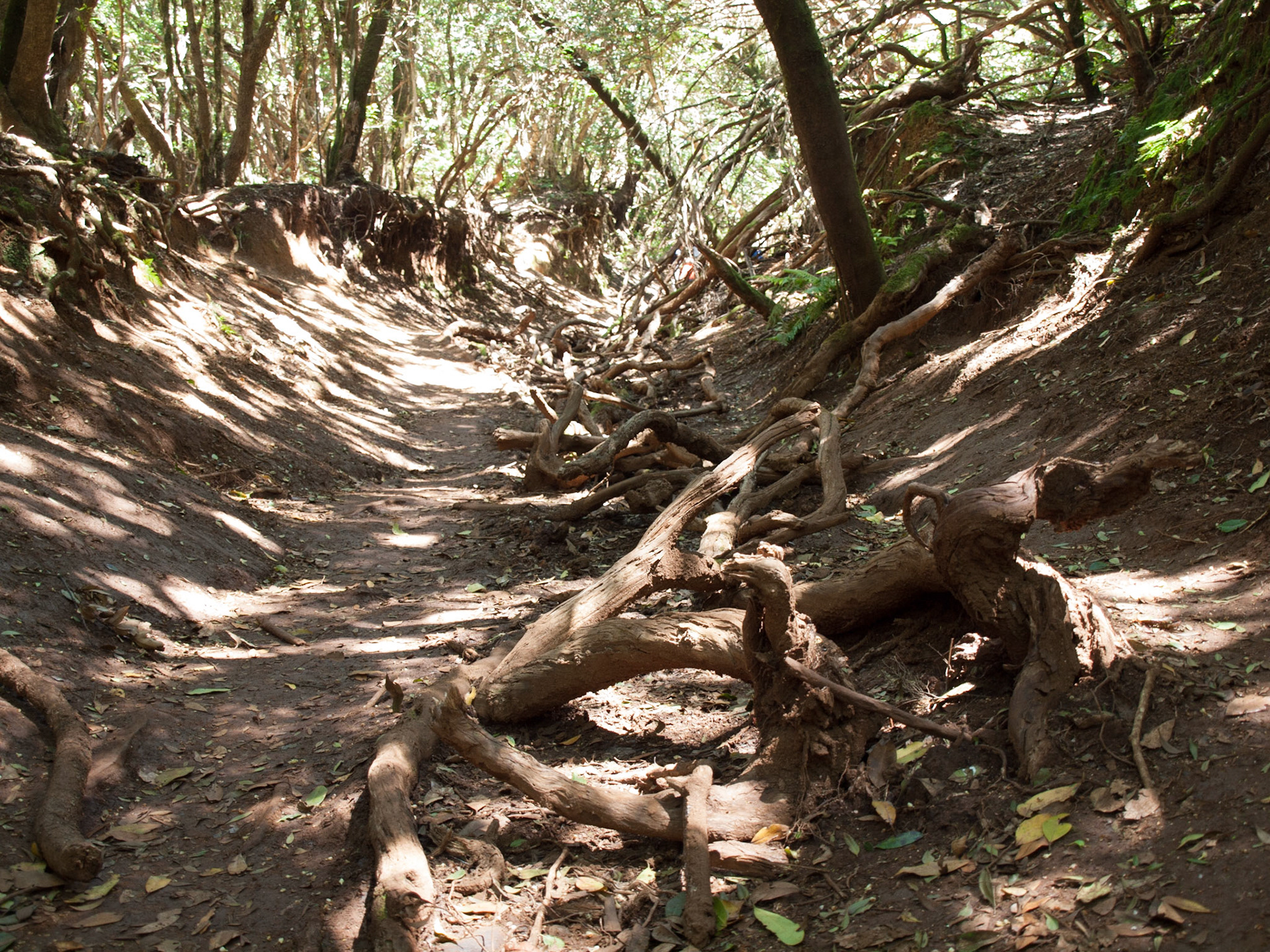 Parque Rural de Anaga