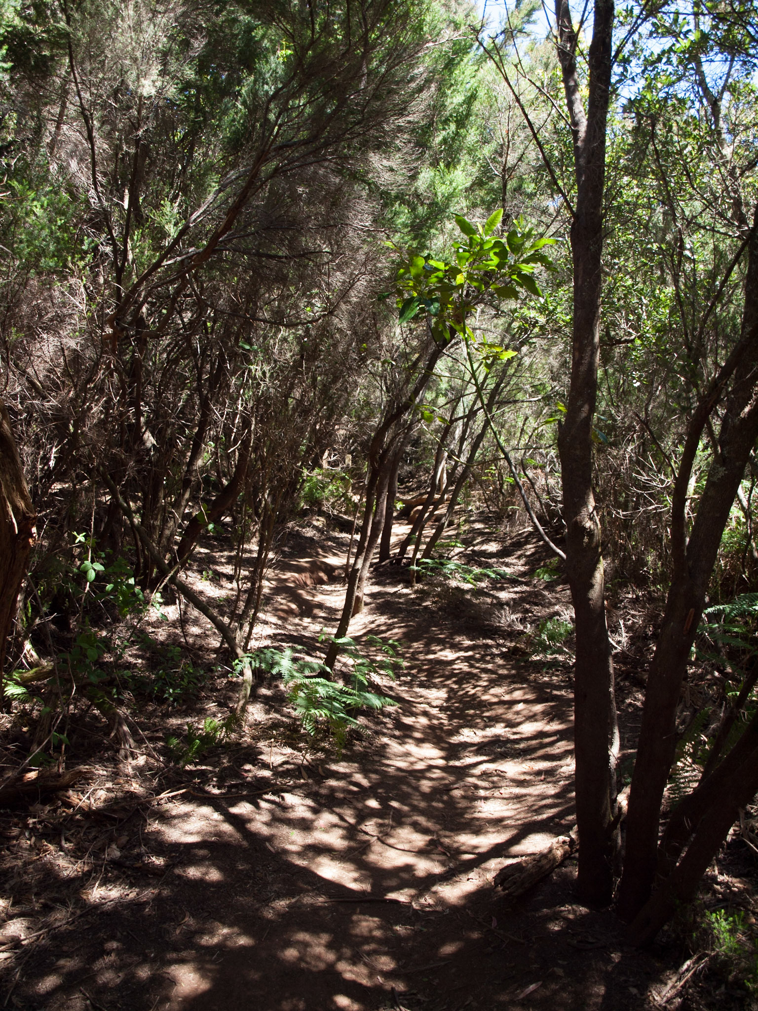 Parque Rural de Anaga