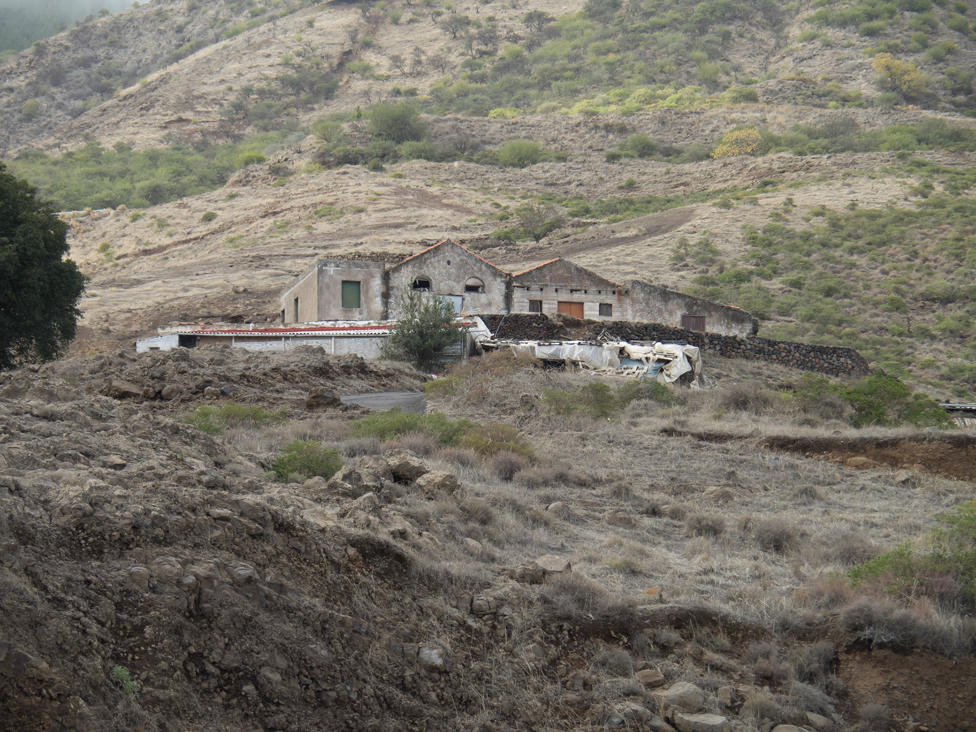 Finca