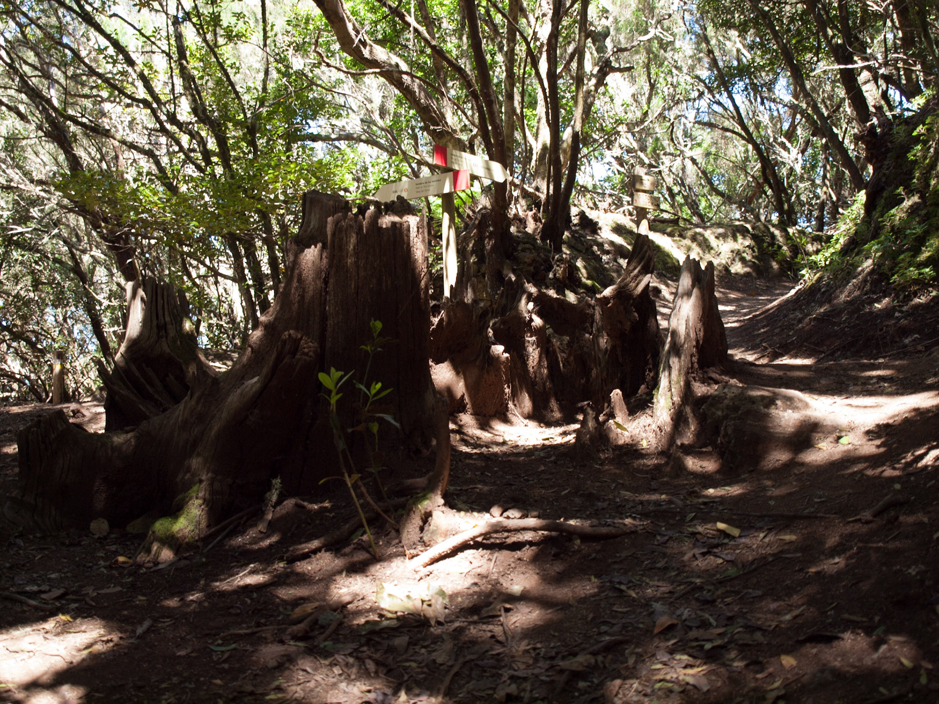 Parque Rural de Anaga