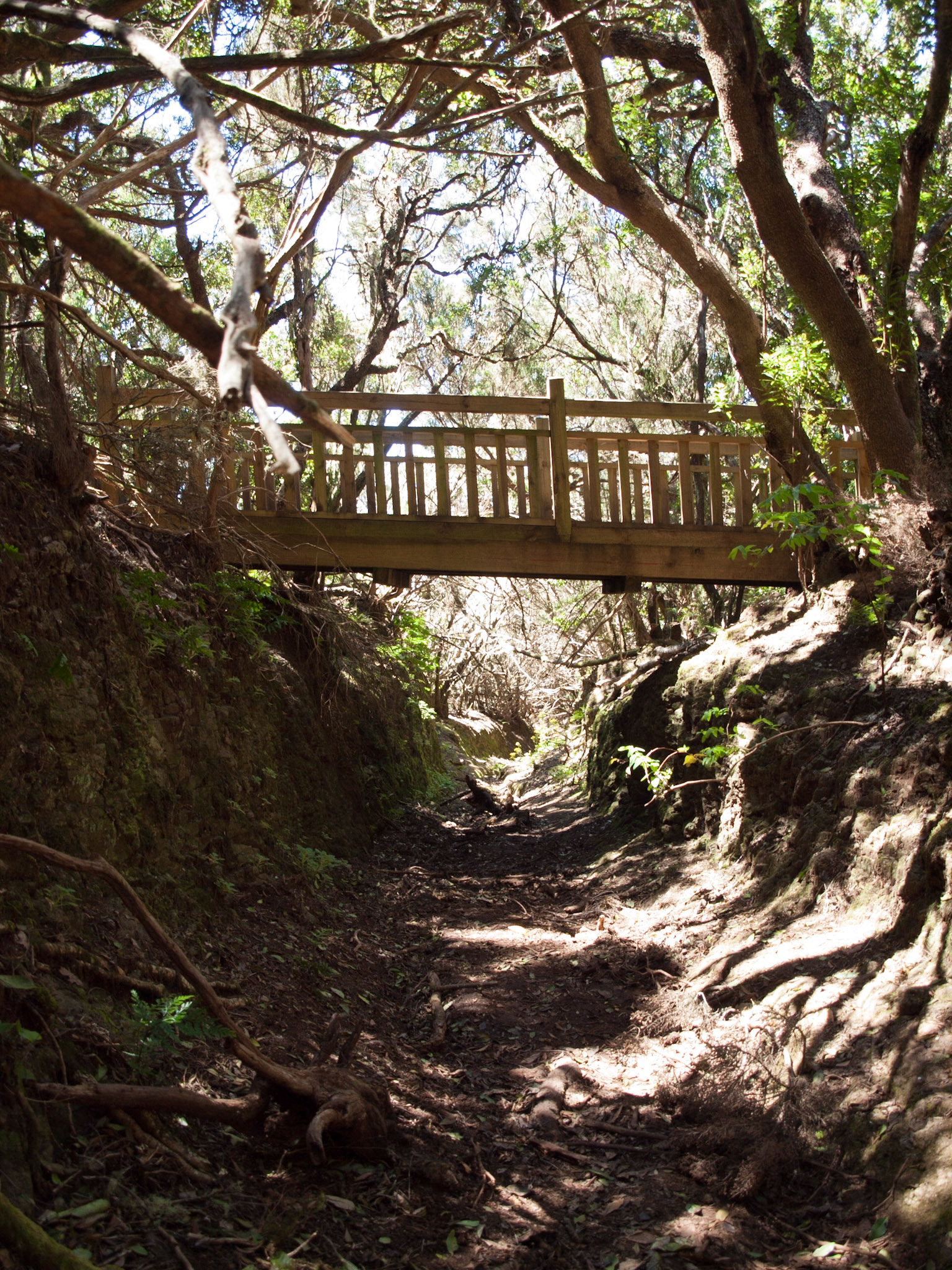 Parque Rural de Anaga