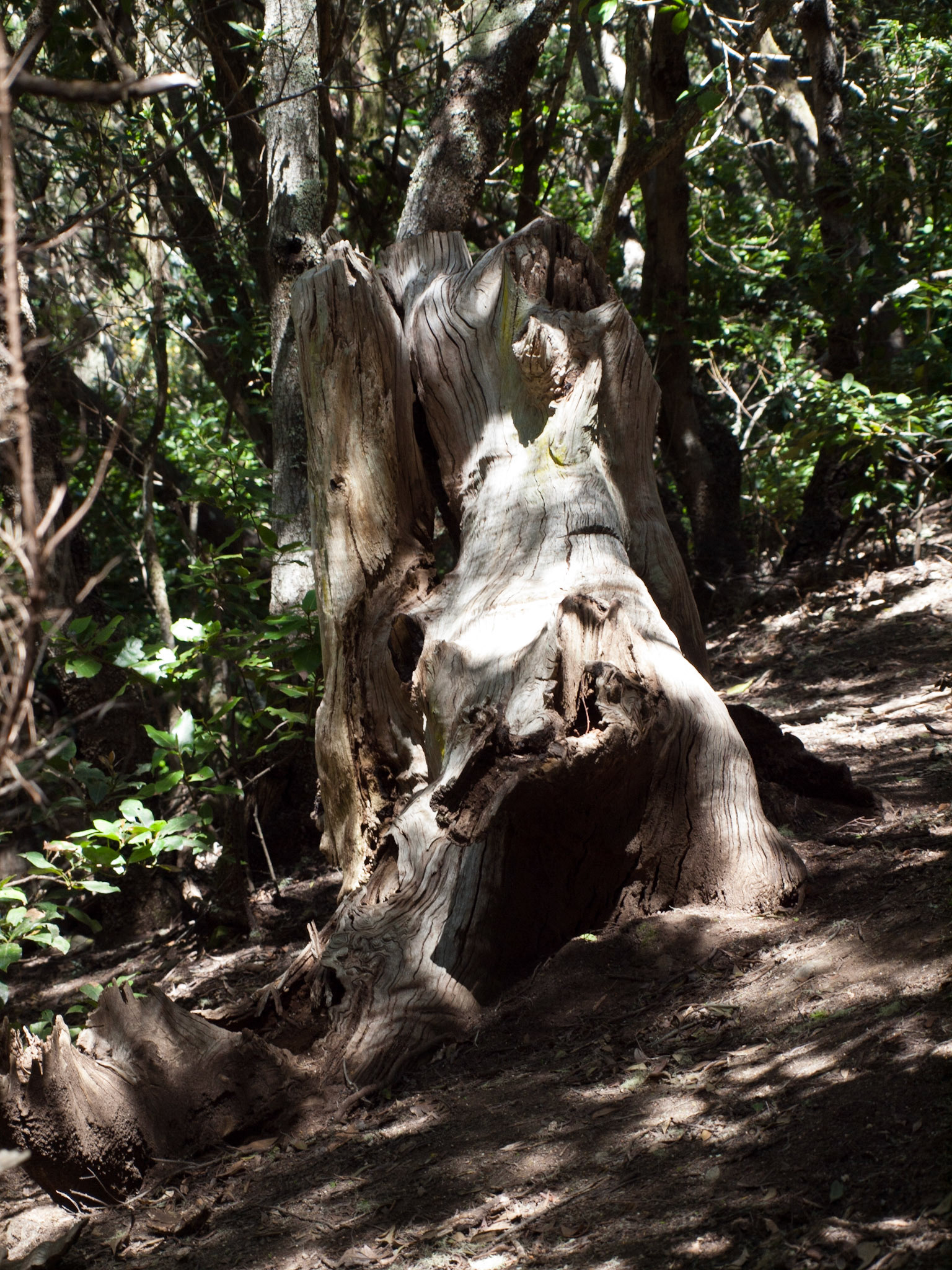 Parque Rural de Anaga