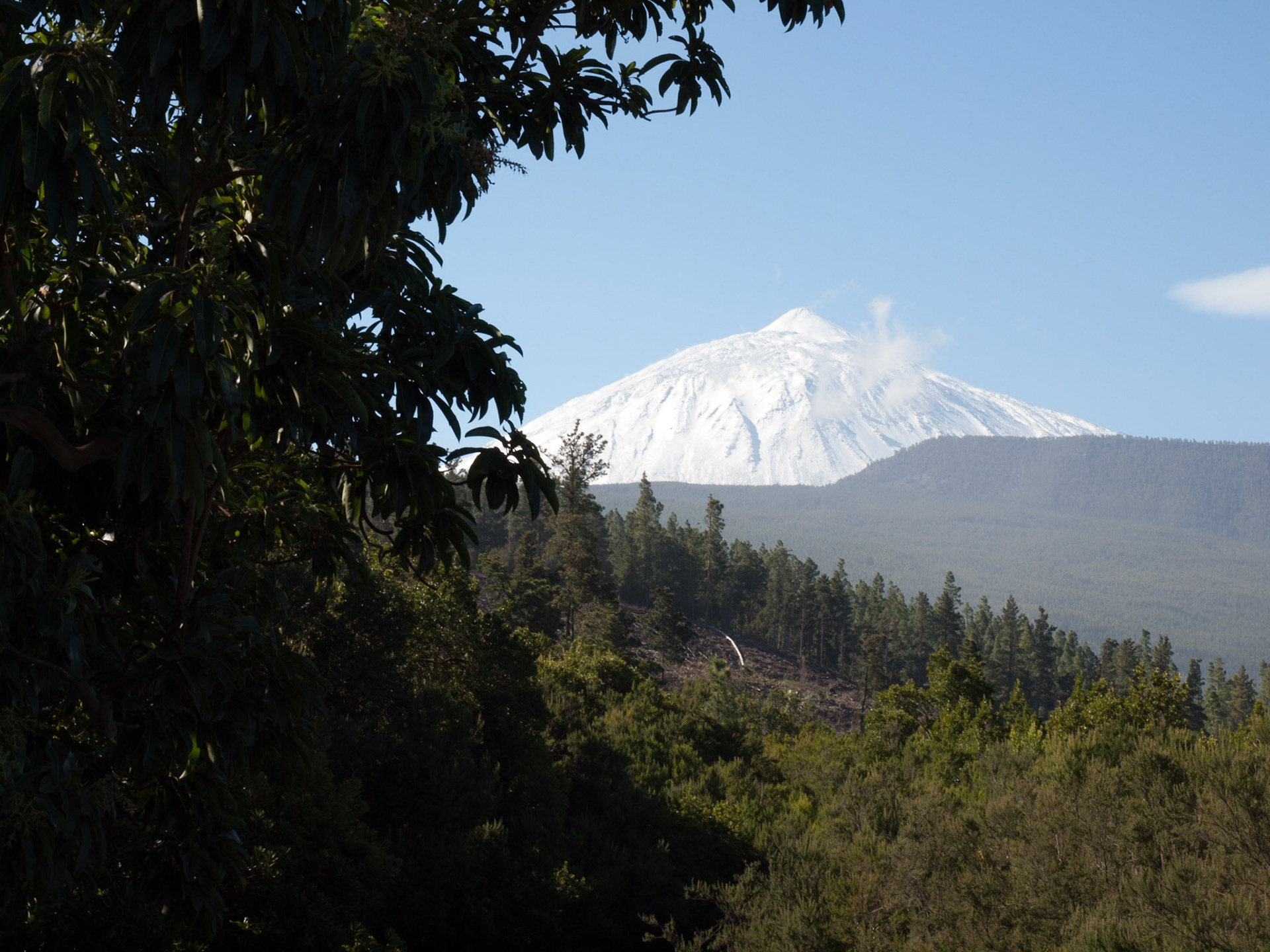 Tag 3: Der Teide zeigt sich im Schneekleid.