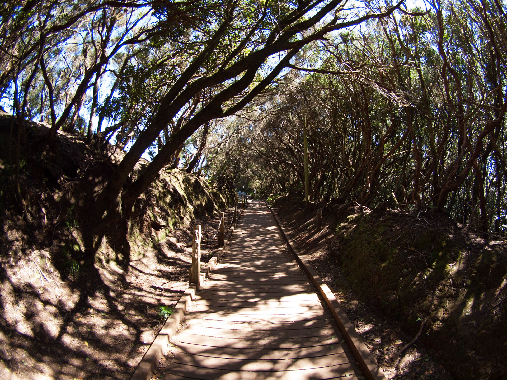 Parque Rural de Anaga