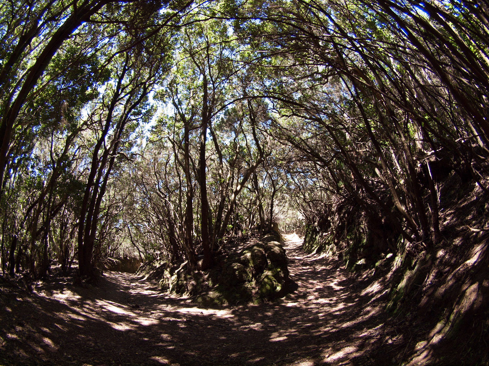 Parque Rural de Anaga