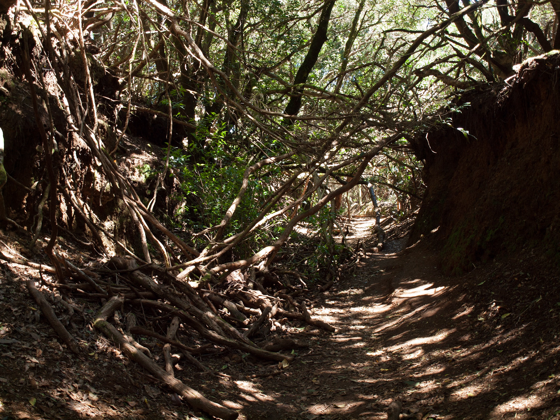 Parque Rural de Anaga