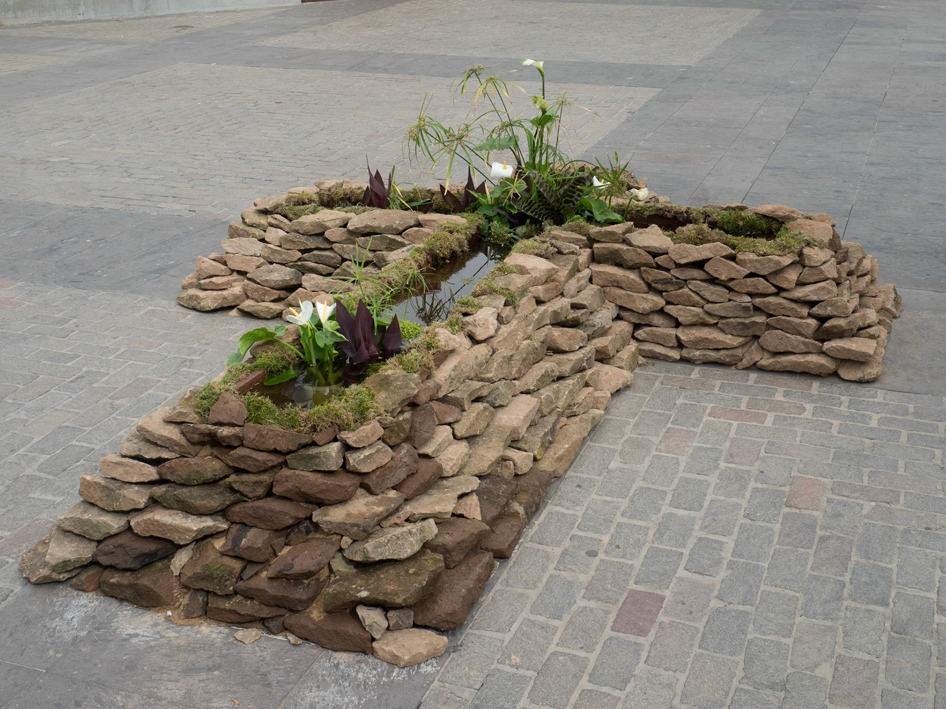 Pascua Florida - Guía de Isora