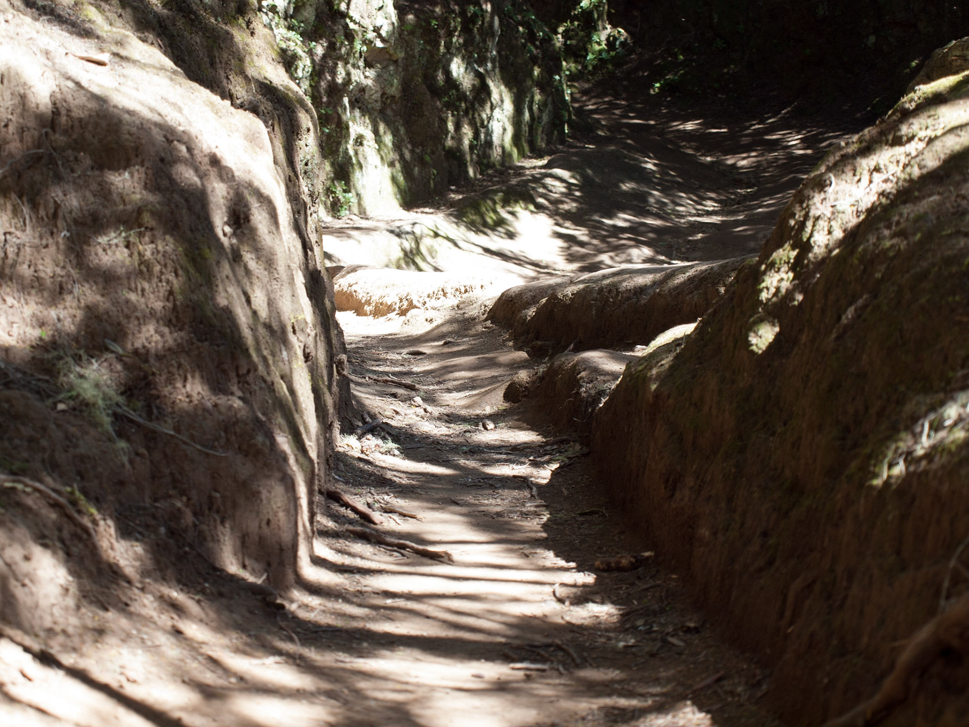 Parque Rural de Anaga