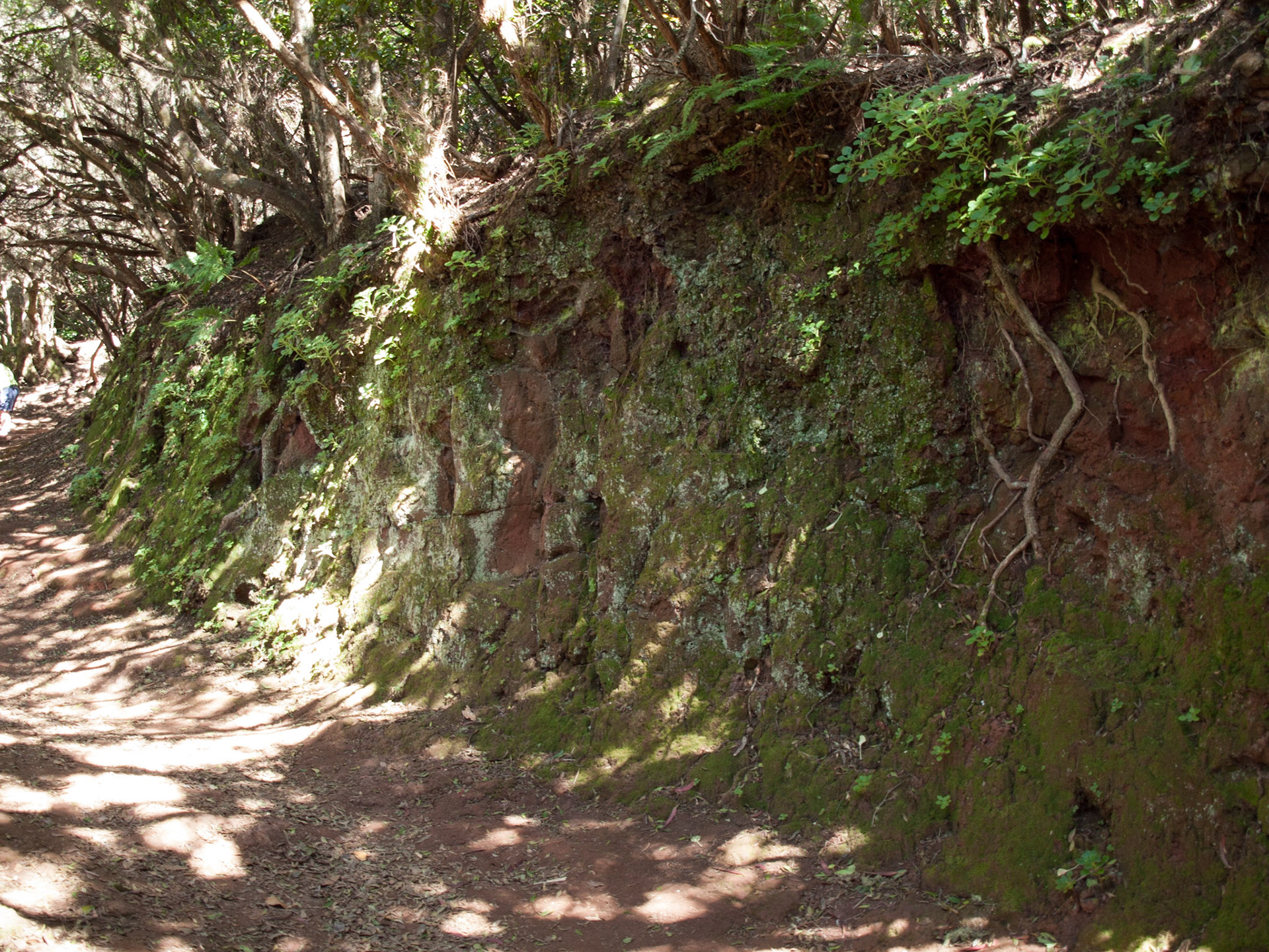 Parque Rural de Anaga