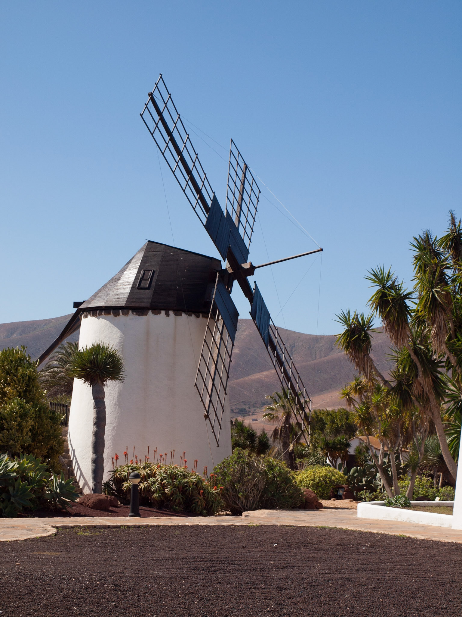 Kanarische Windmühle in Antigua