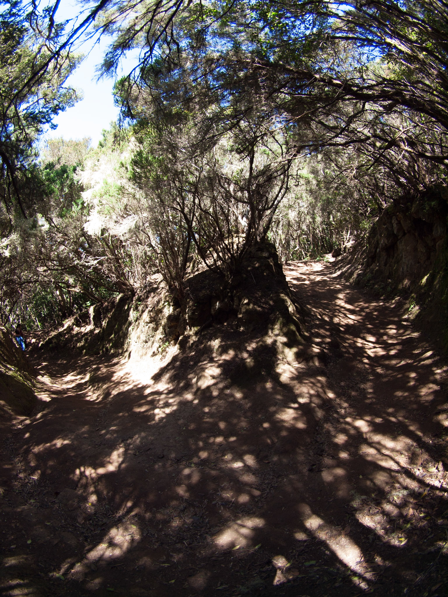 Parque Rural de Anaga