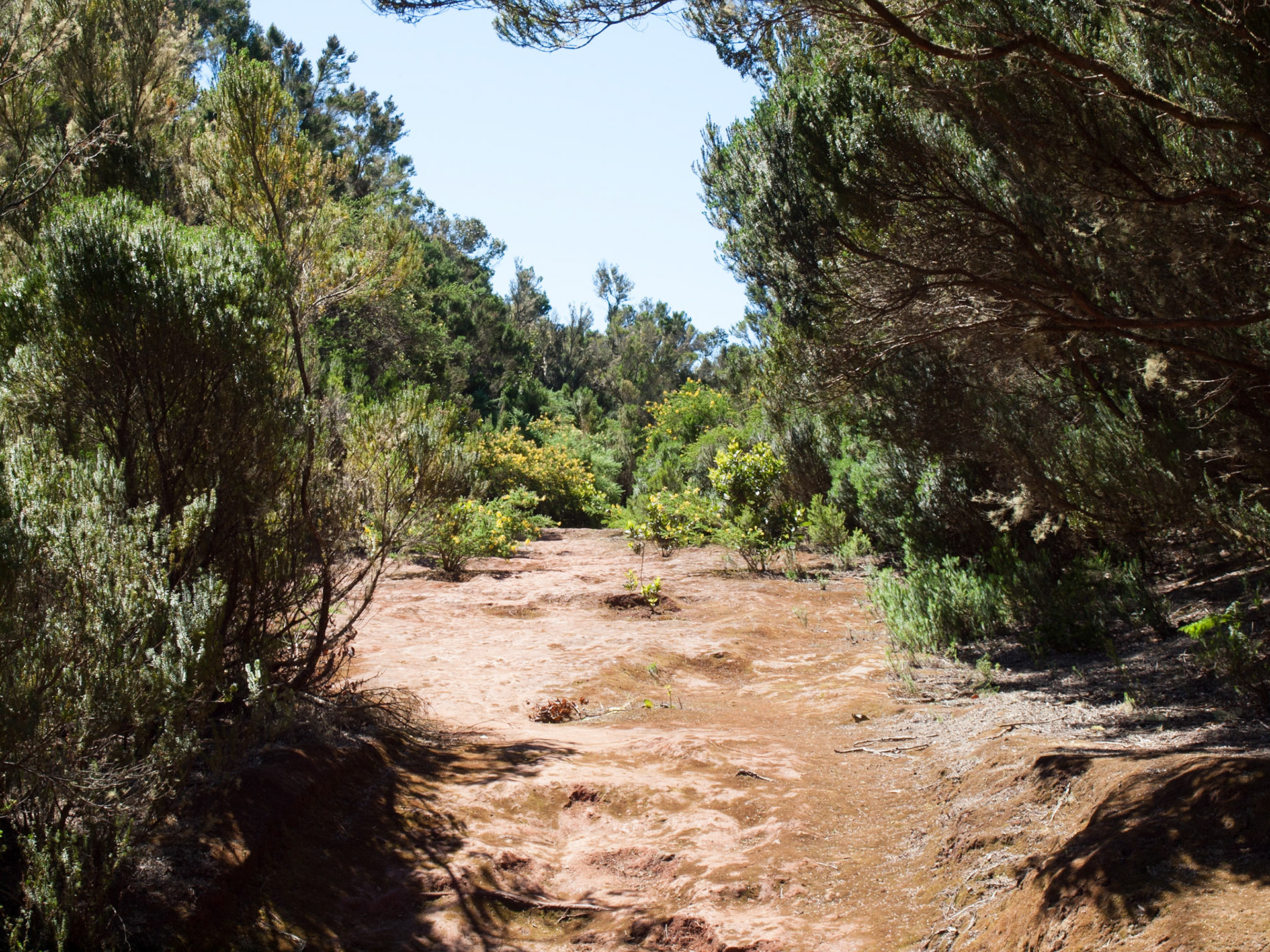 Parque Rural de Anaga