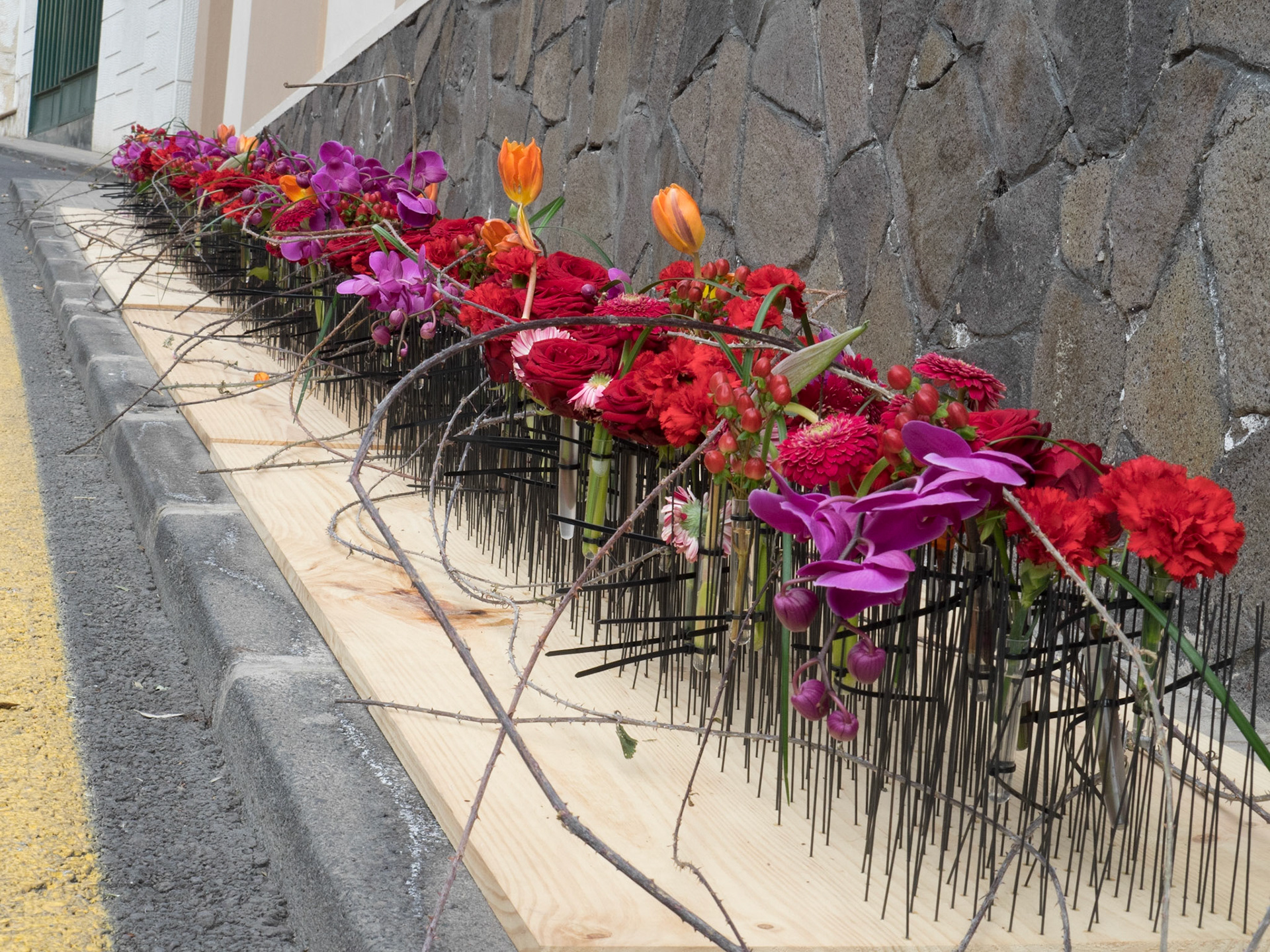 Pascua Florida - Guía de Isora