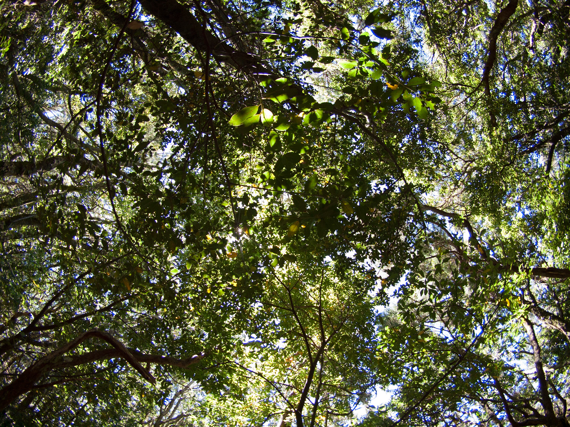 Parque Rural de Anaga