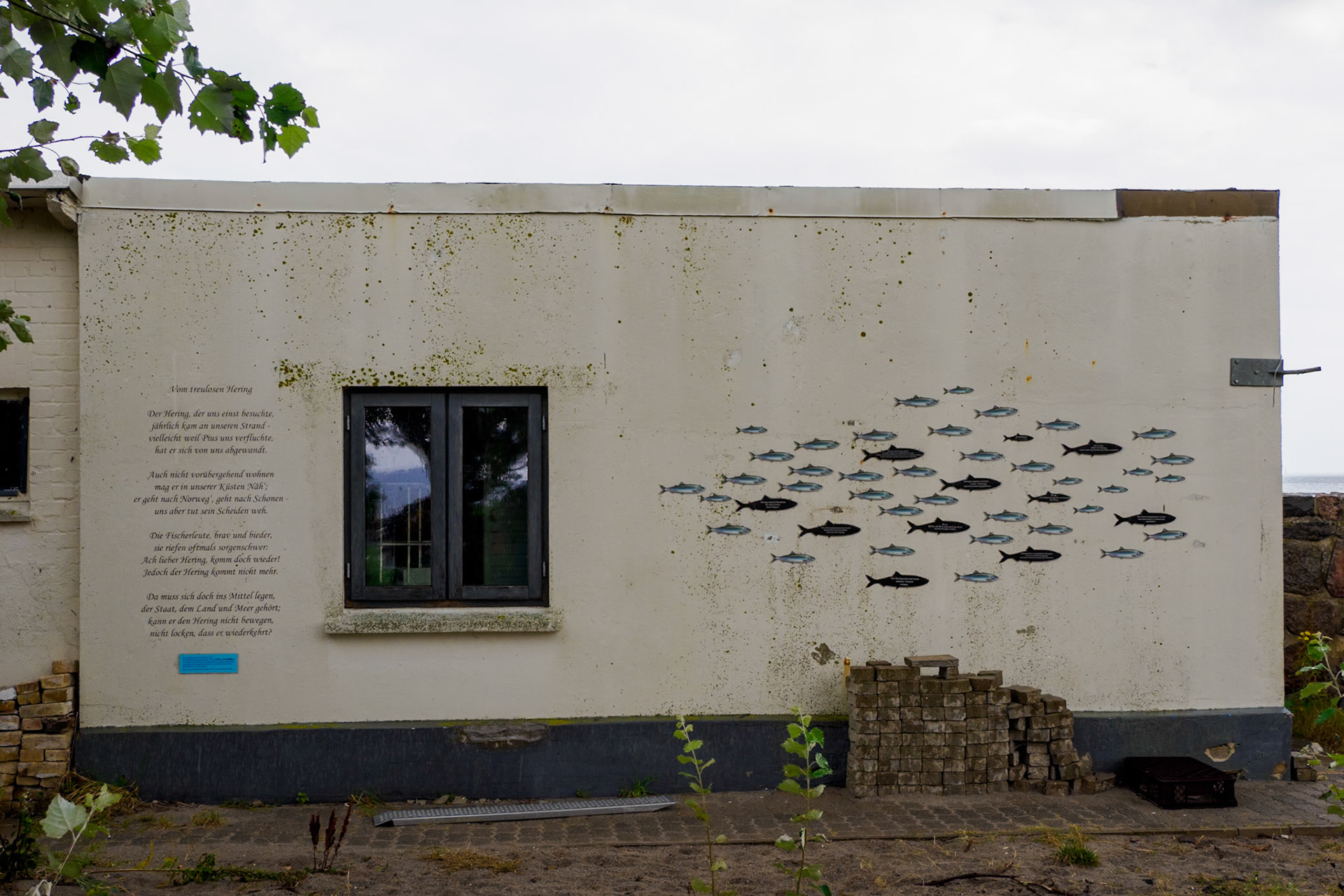 Vom treulosen Hering