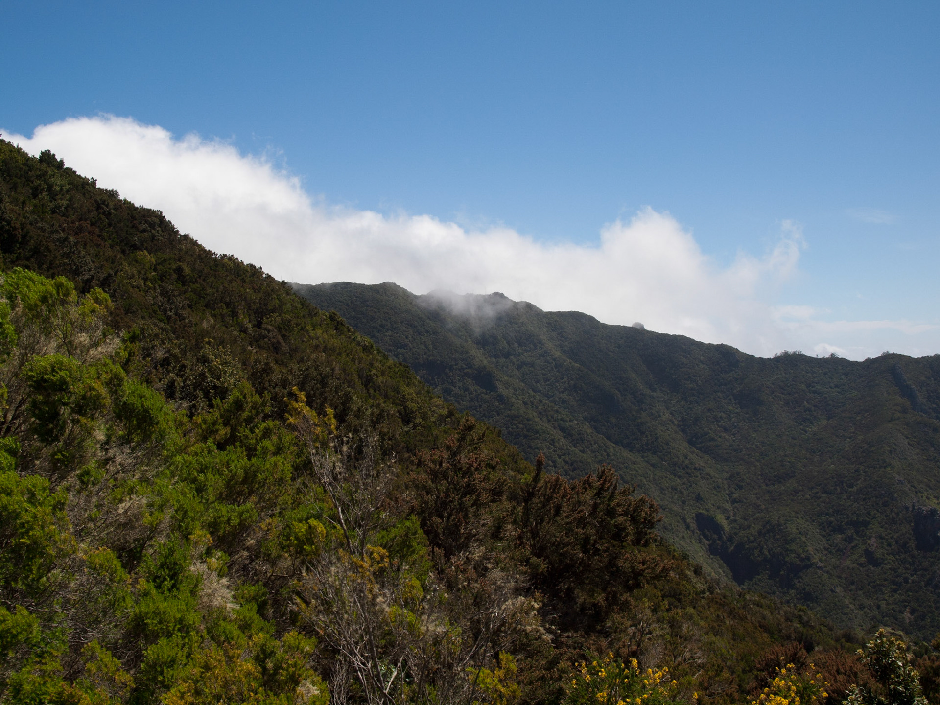 Parque Rural de Anaga