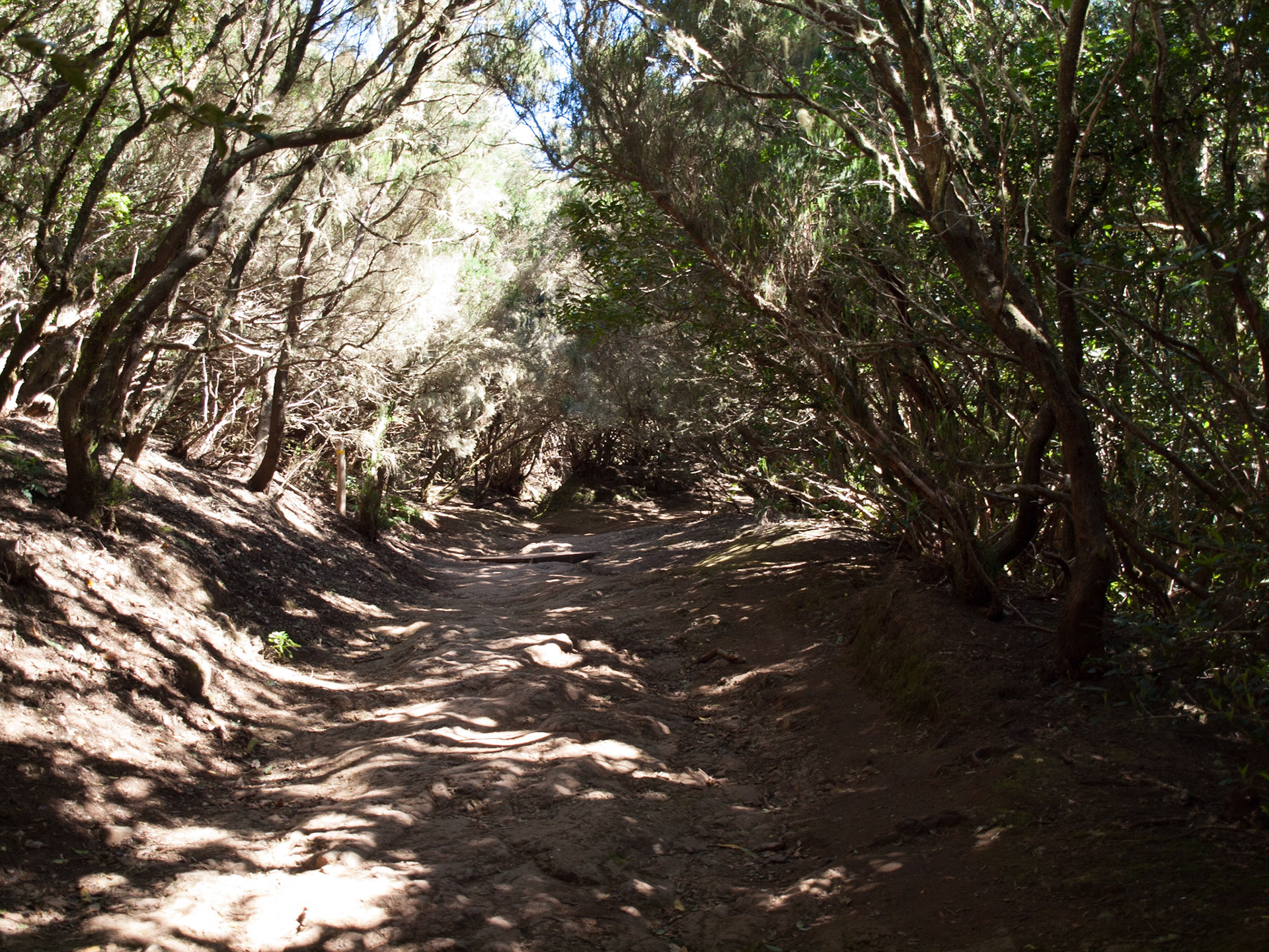 Parque Rural de Anaga