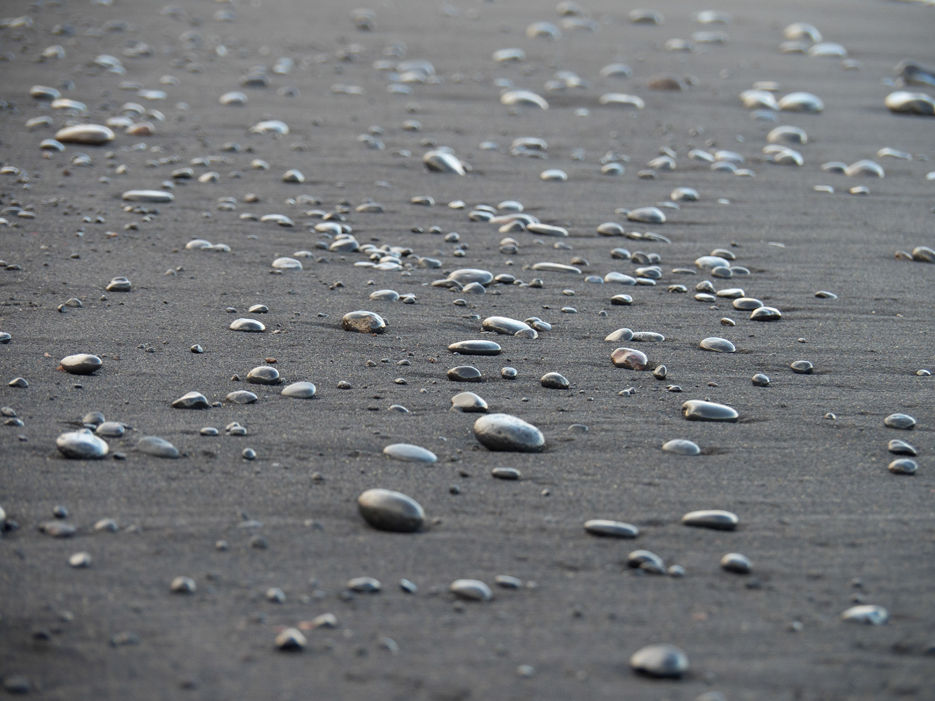 Piedras
