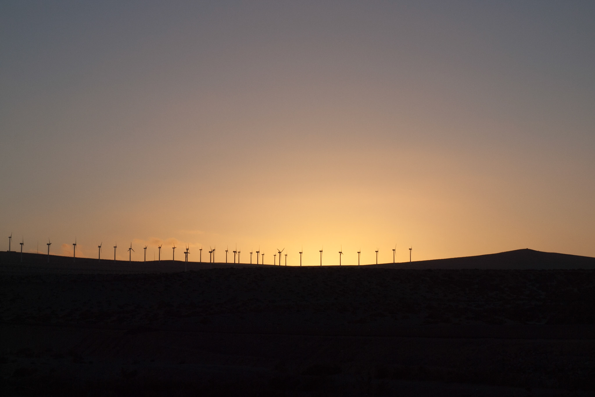 Windmills in the dusk.