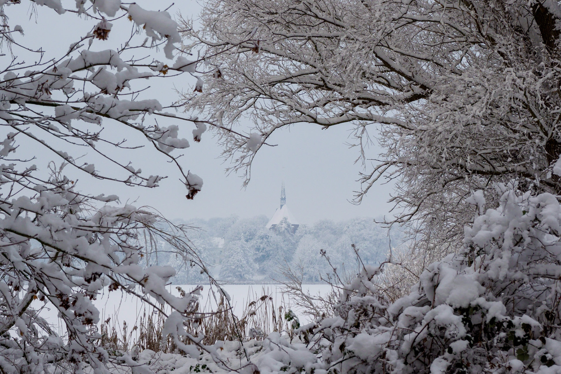 Klosterkirche Bordesholm