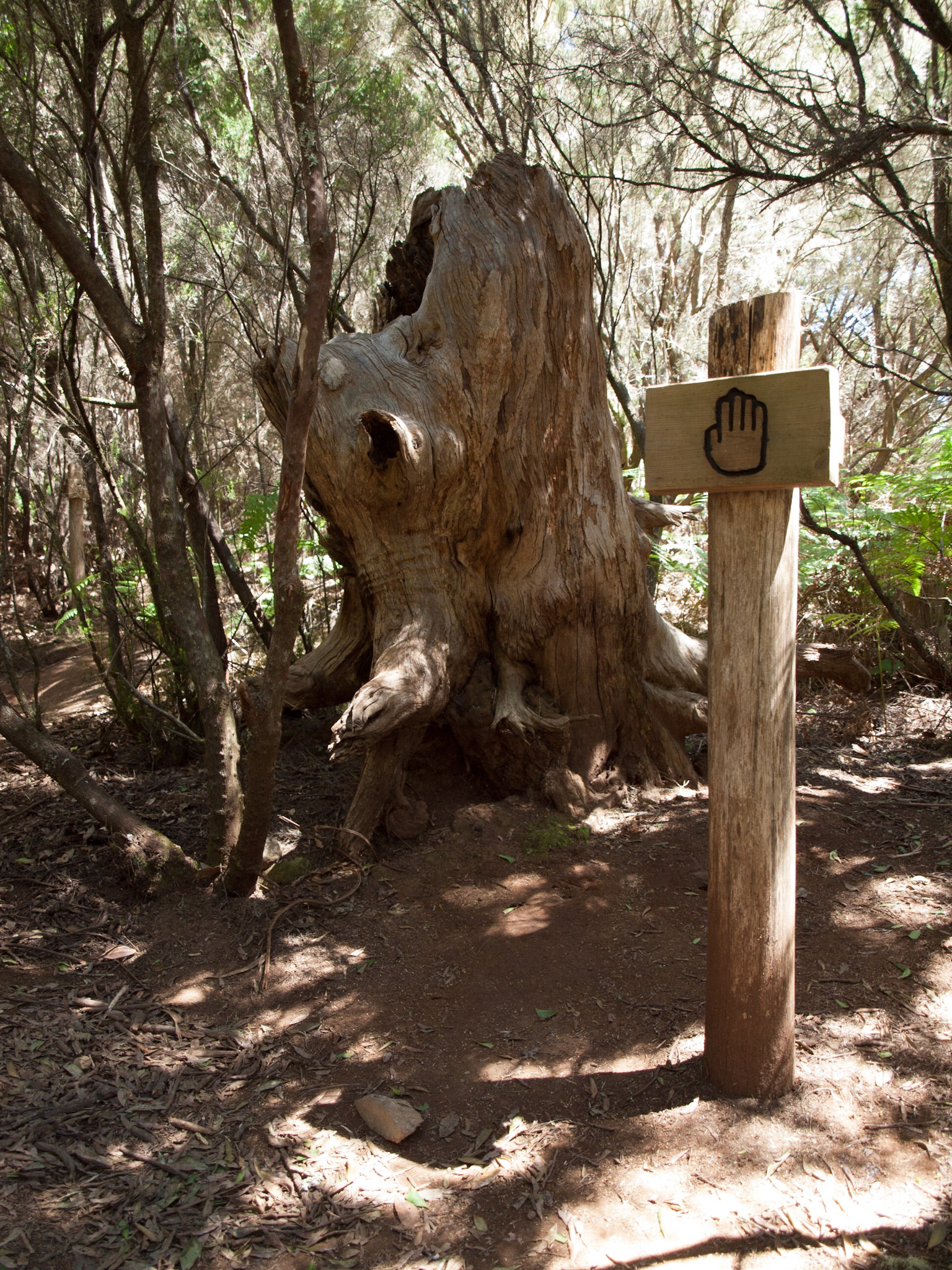Parque Rural de Anaga