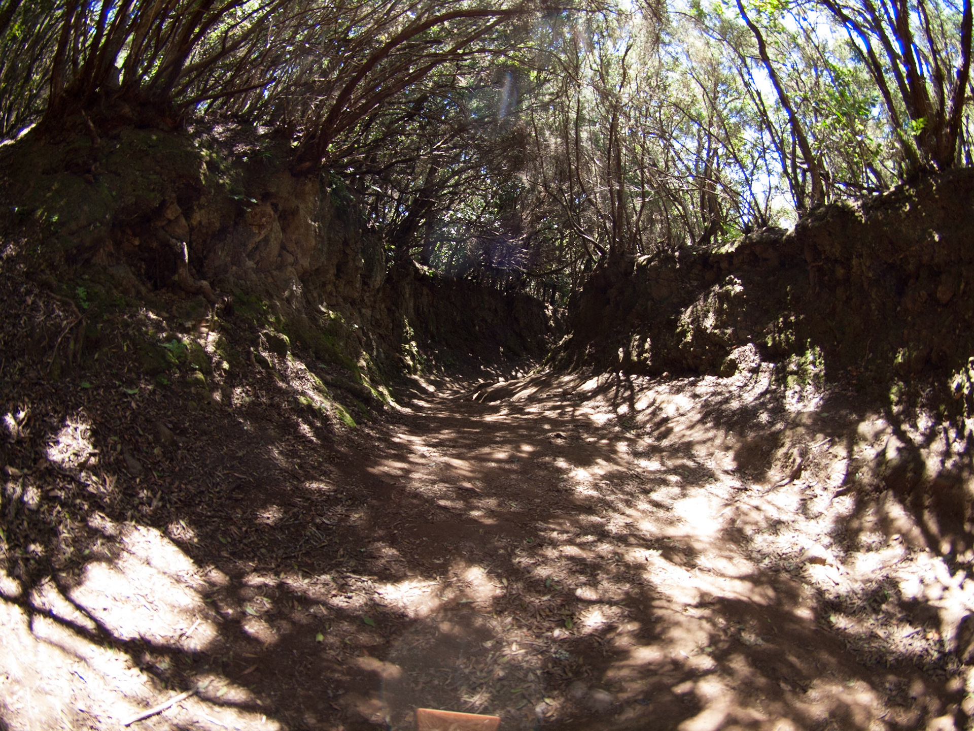 Parque Rural de Anaga