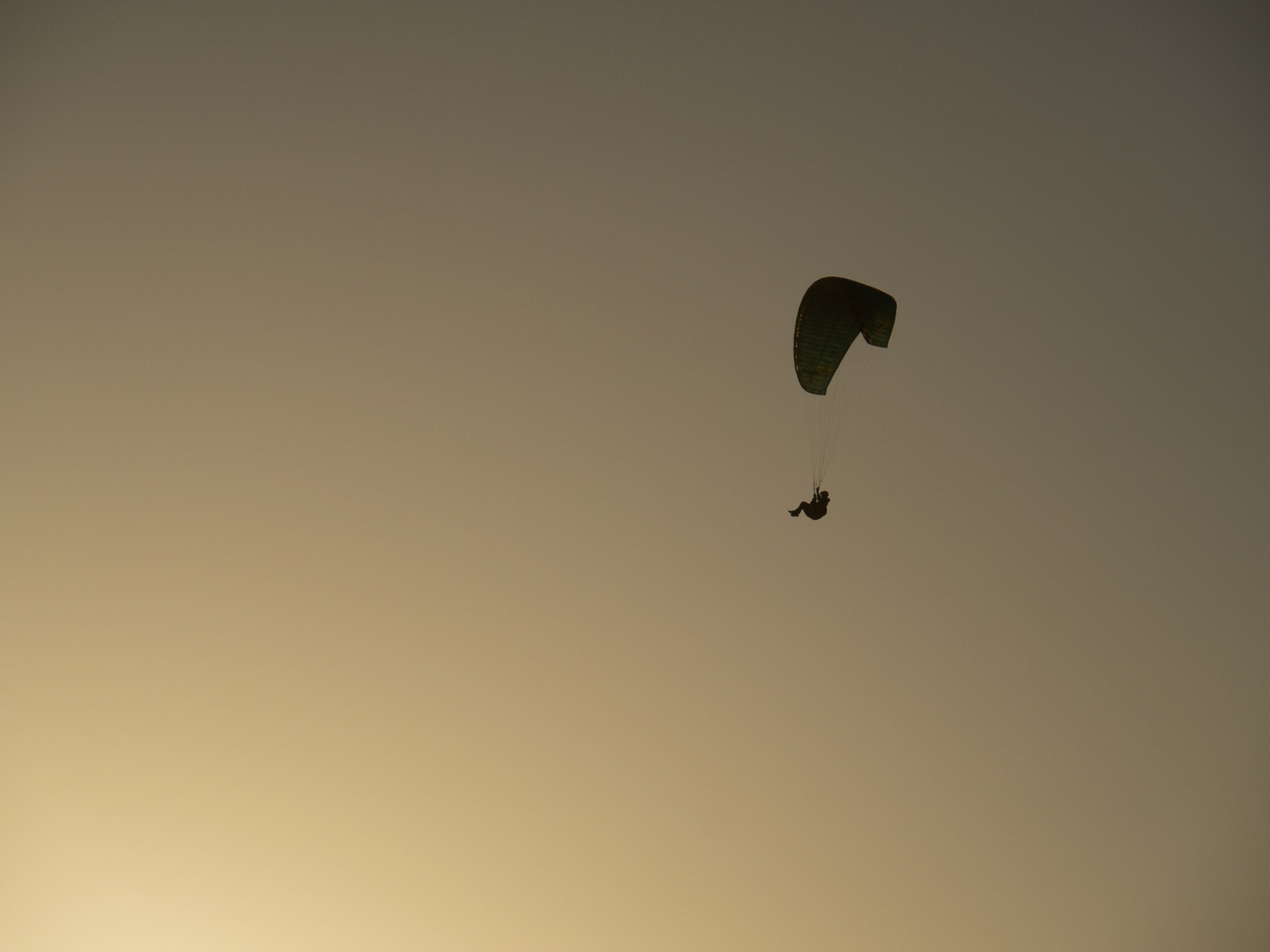 Paraglider