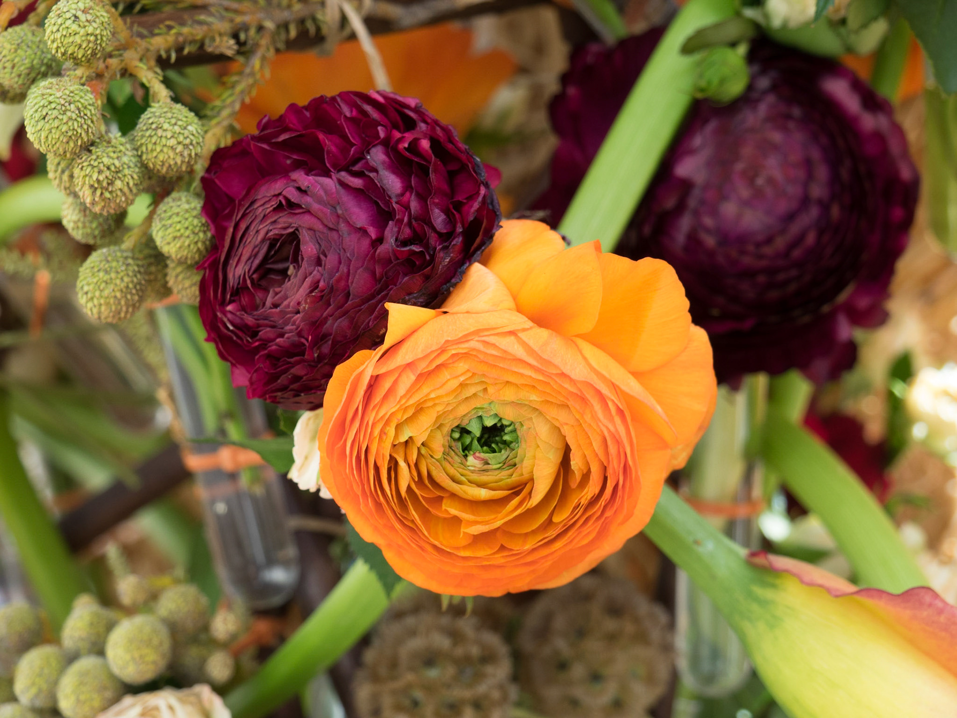 Pascua Florida - Guía de Isora