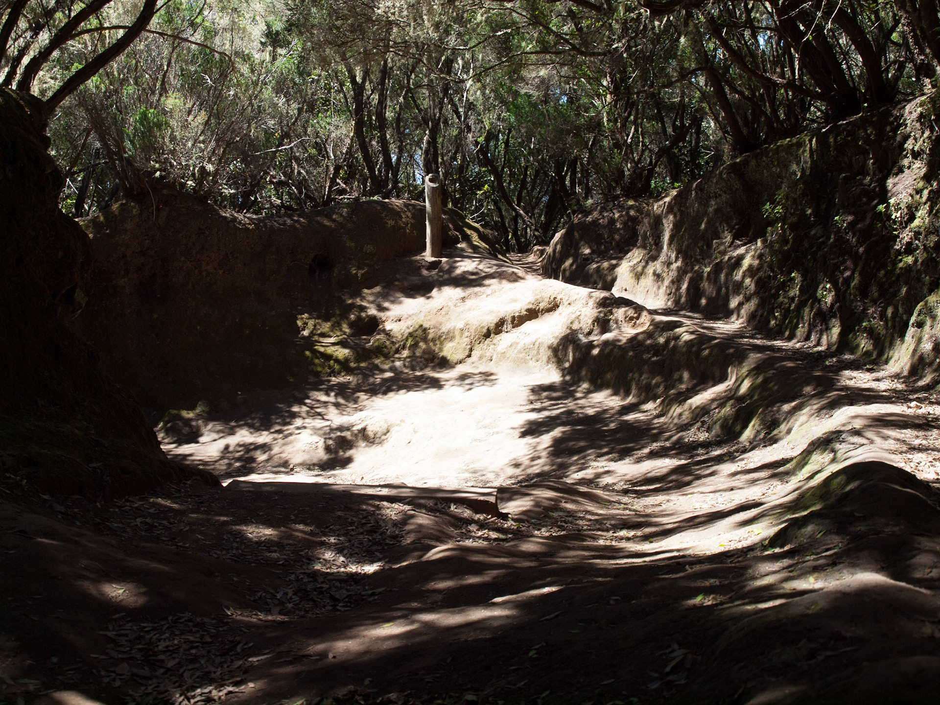 Parque Rural de Anaga
