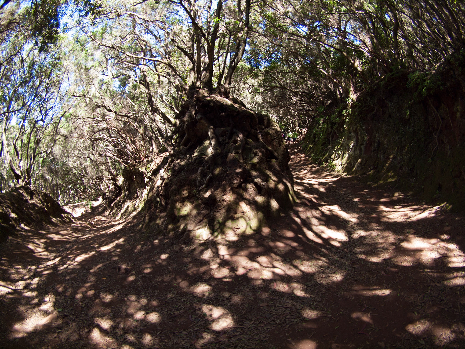 Parque Rural de Anaga
