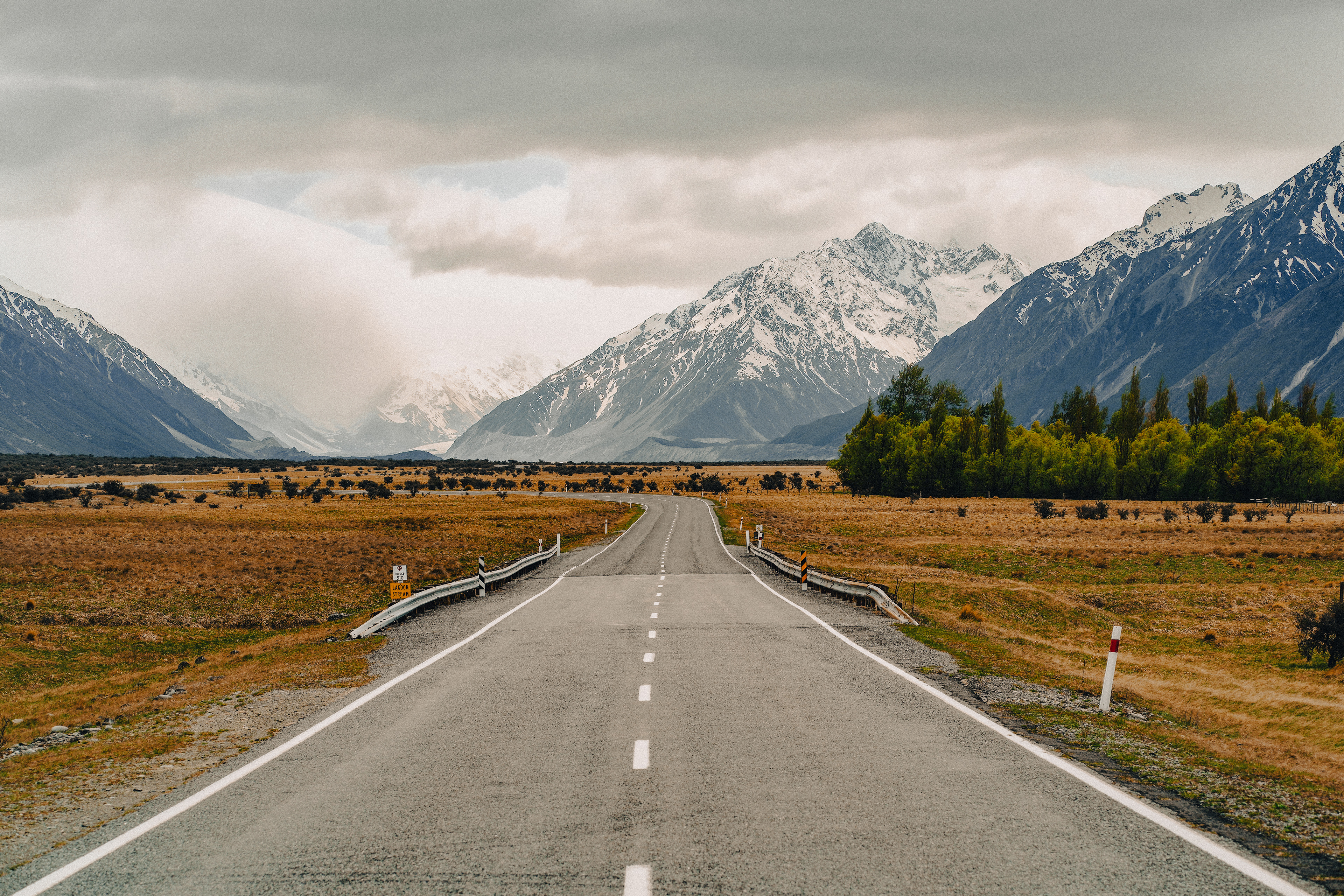 NEW ZEALAND VIEW 4