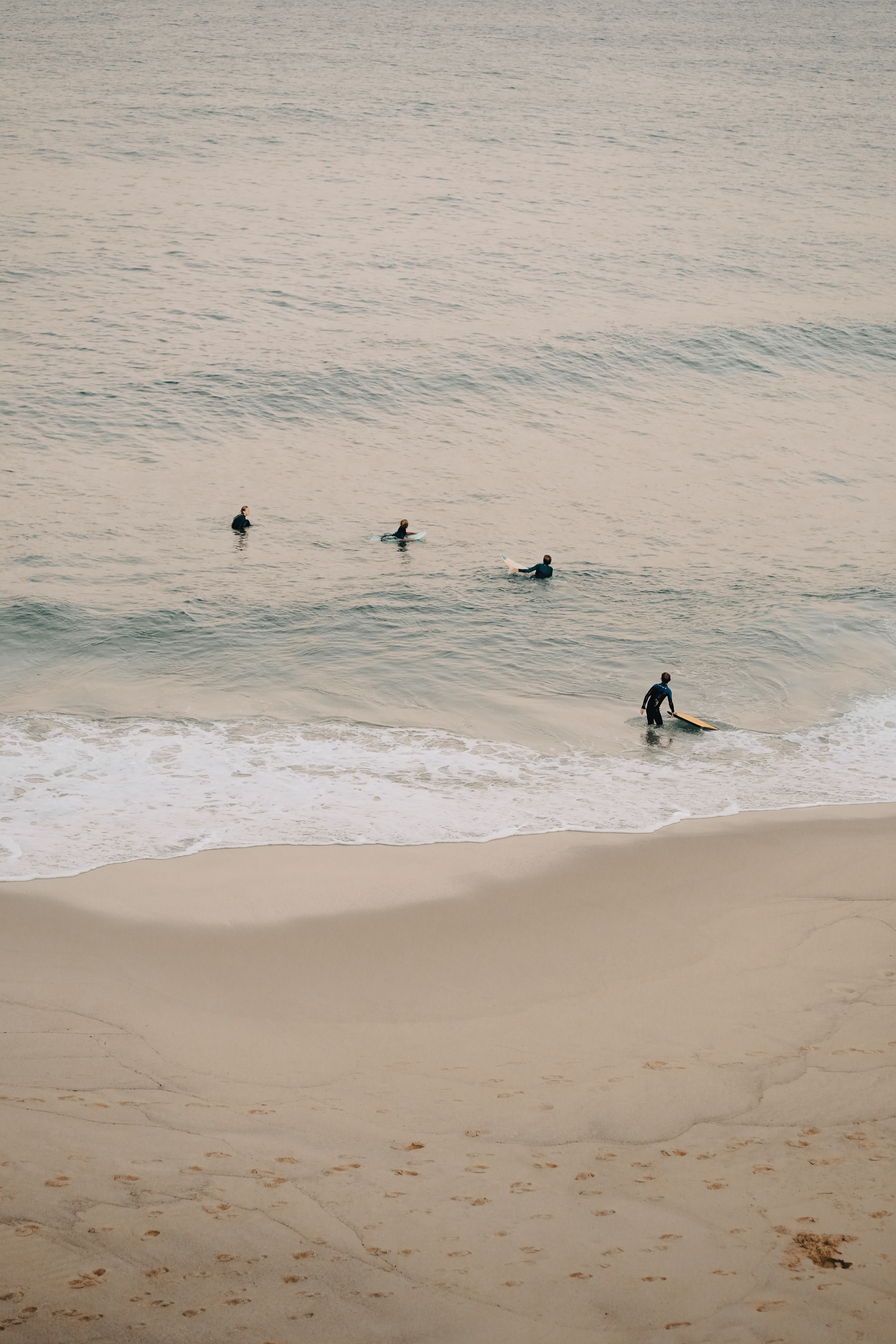 SYDNEY SURF