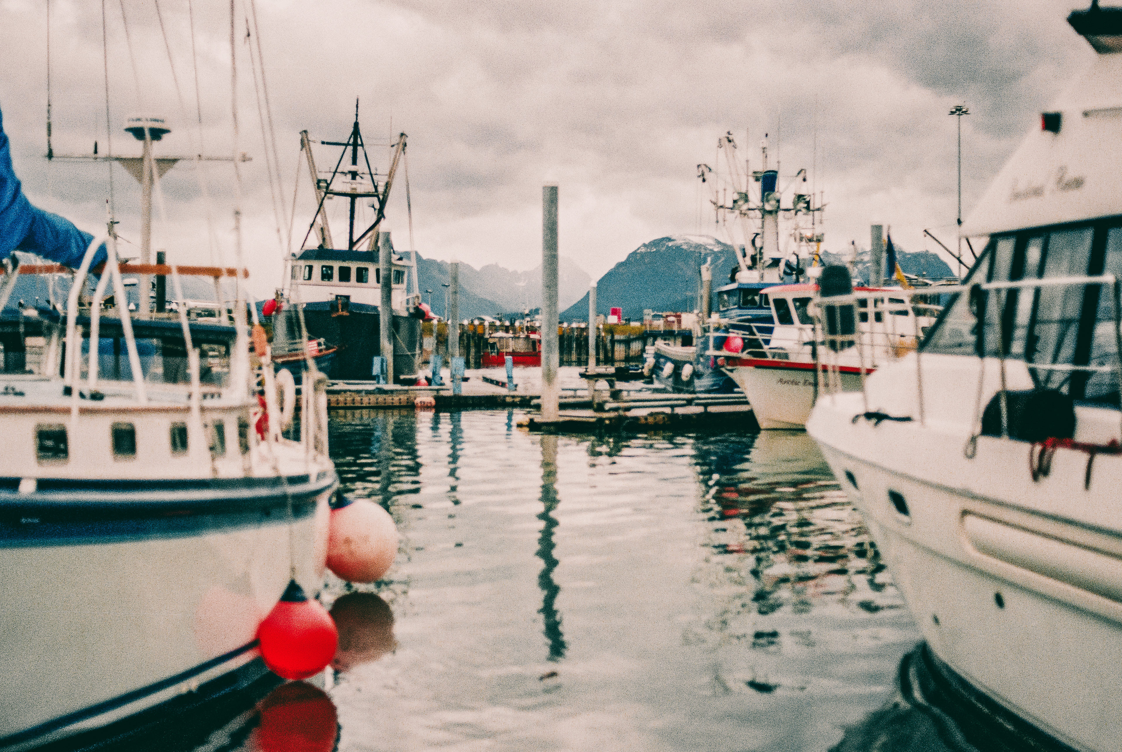 KACHEMAK BAY 1