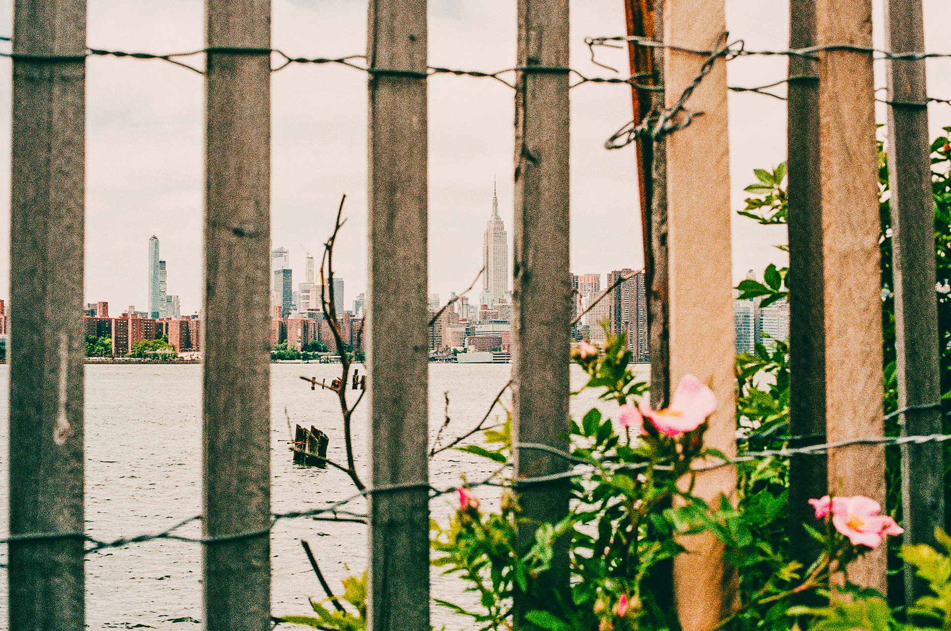 NYC FLOWER