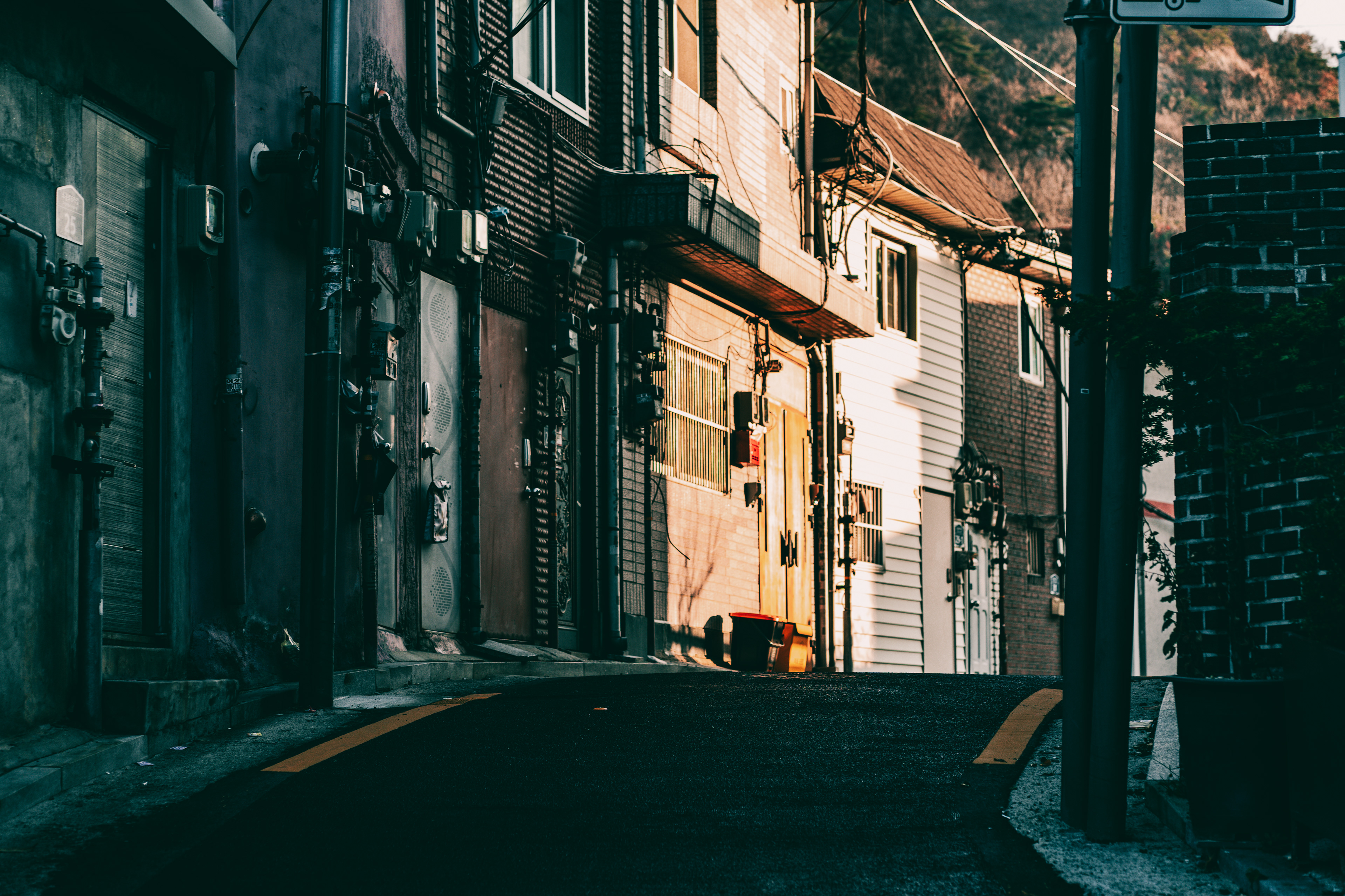 SEOUL SHADOW