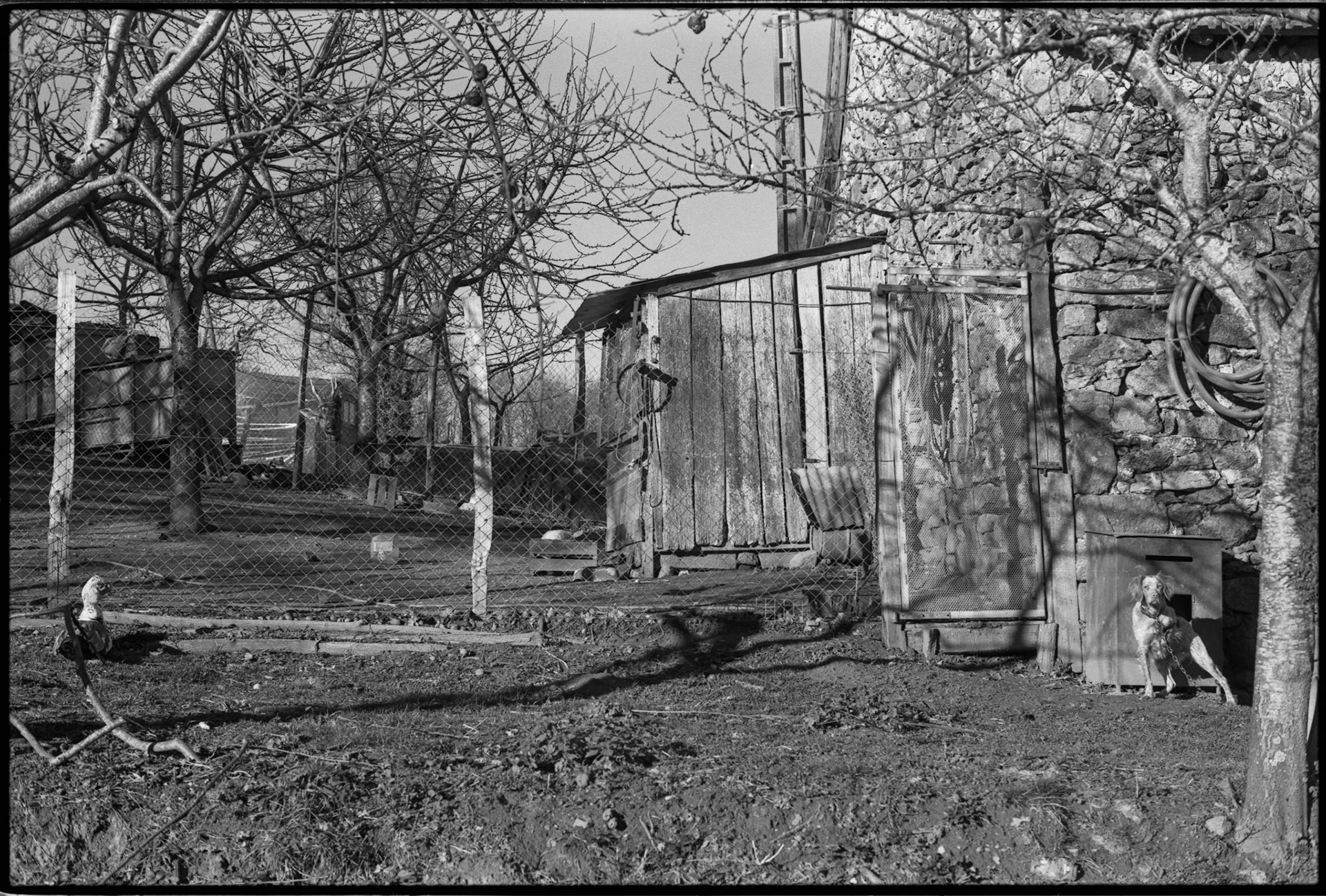 around Meysac, France, 1998