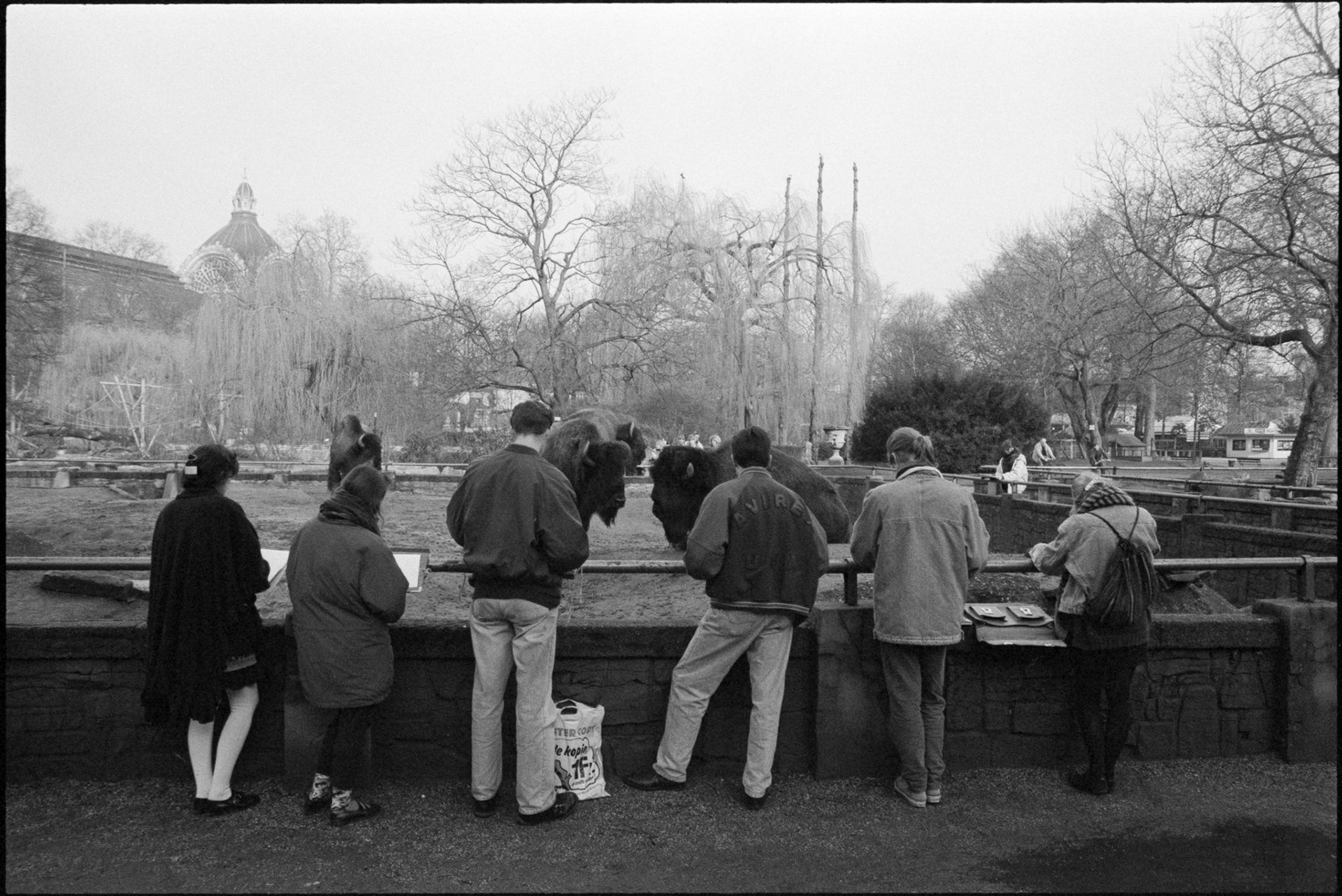 Antwerp zoo, Belgium, 1990