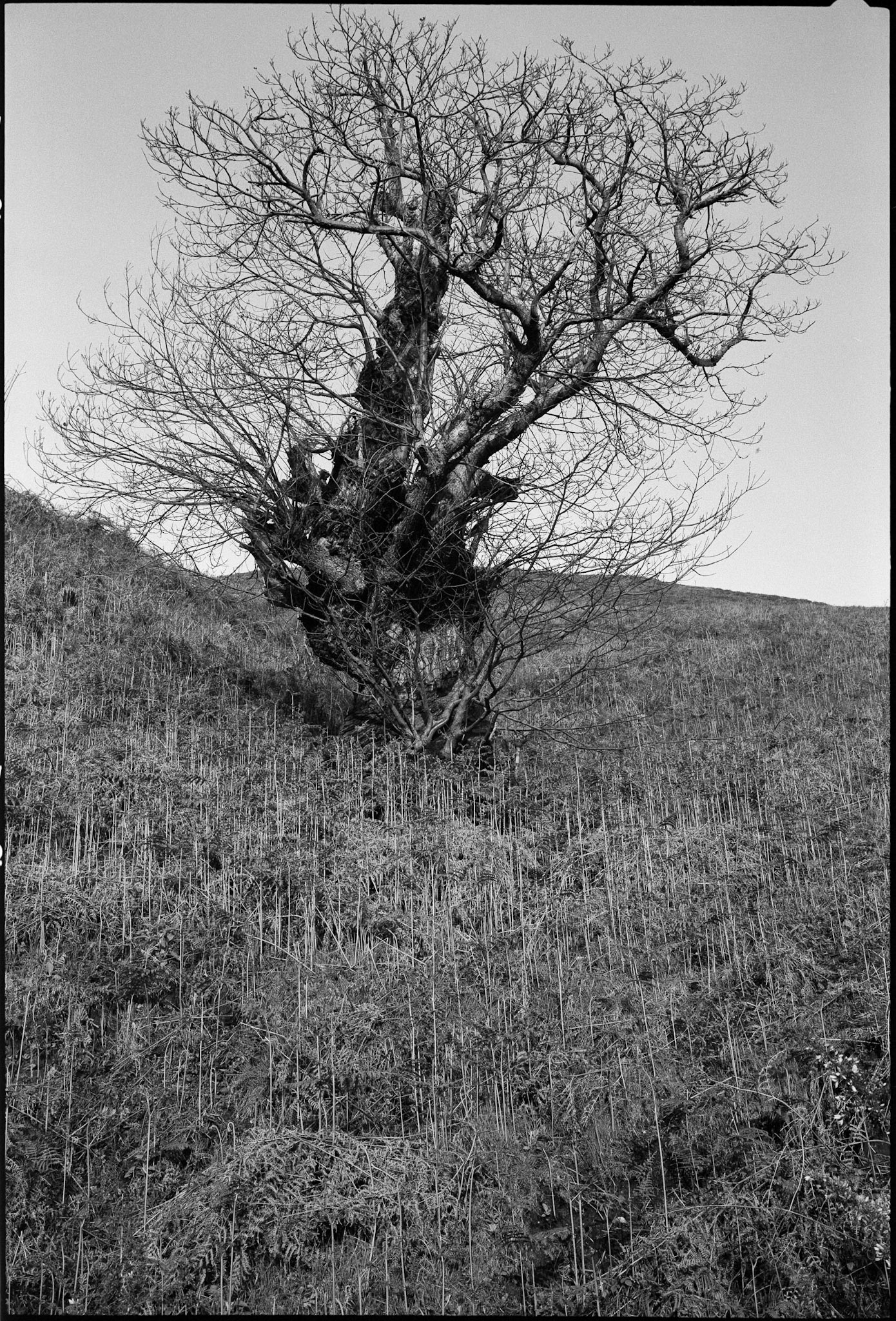 ,Asturias, Spain, Playa de San Antolín, 1991