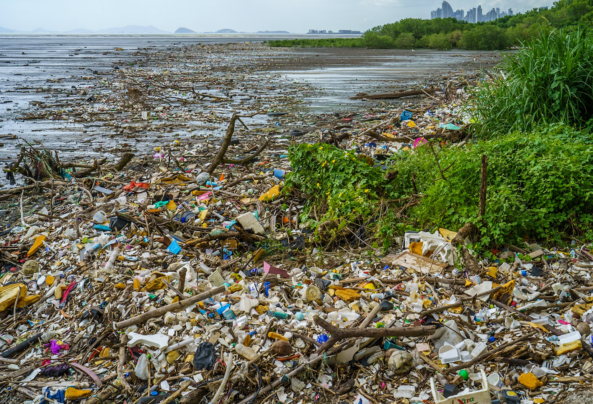 Panamá Ciudad, November 2021