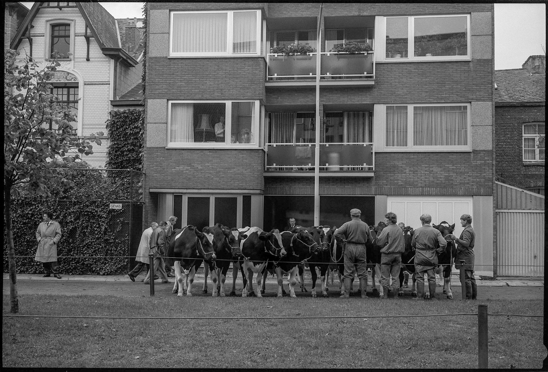 Willebroek, Belgium, 1991