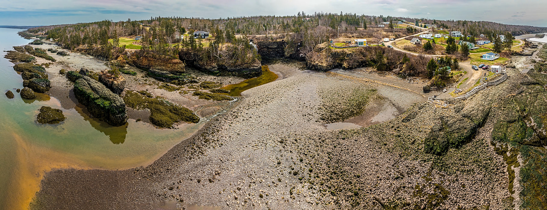 Baxter in Low Tide