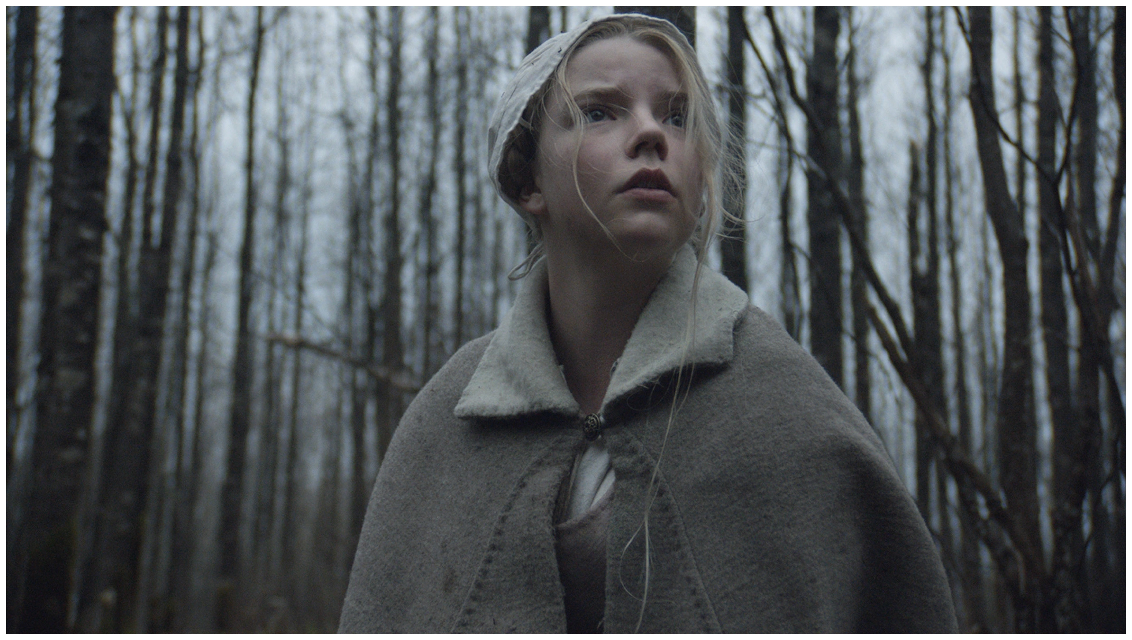The Witch (2015)