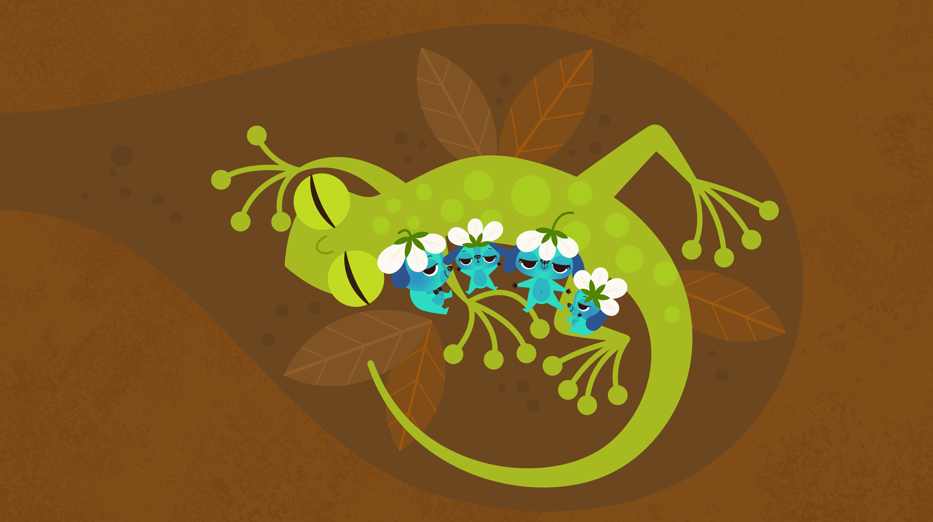 Passe-Partout | Attraction Images | Télé-Québec